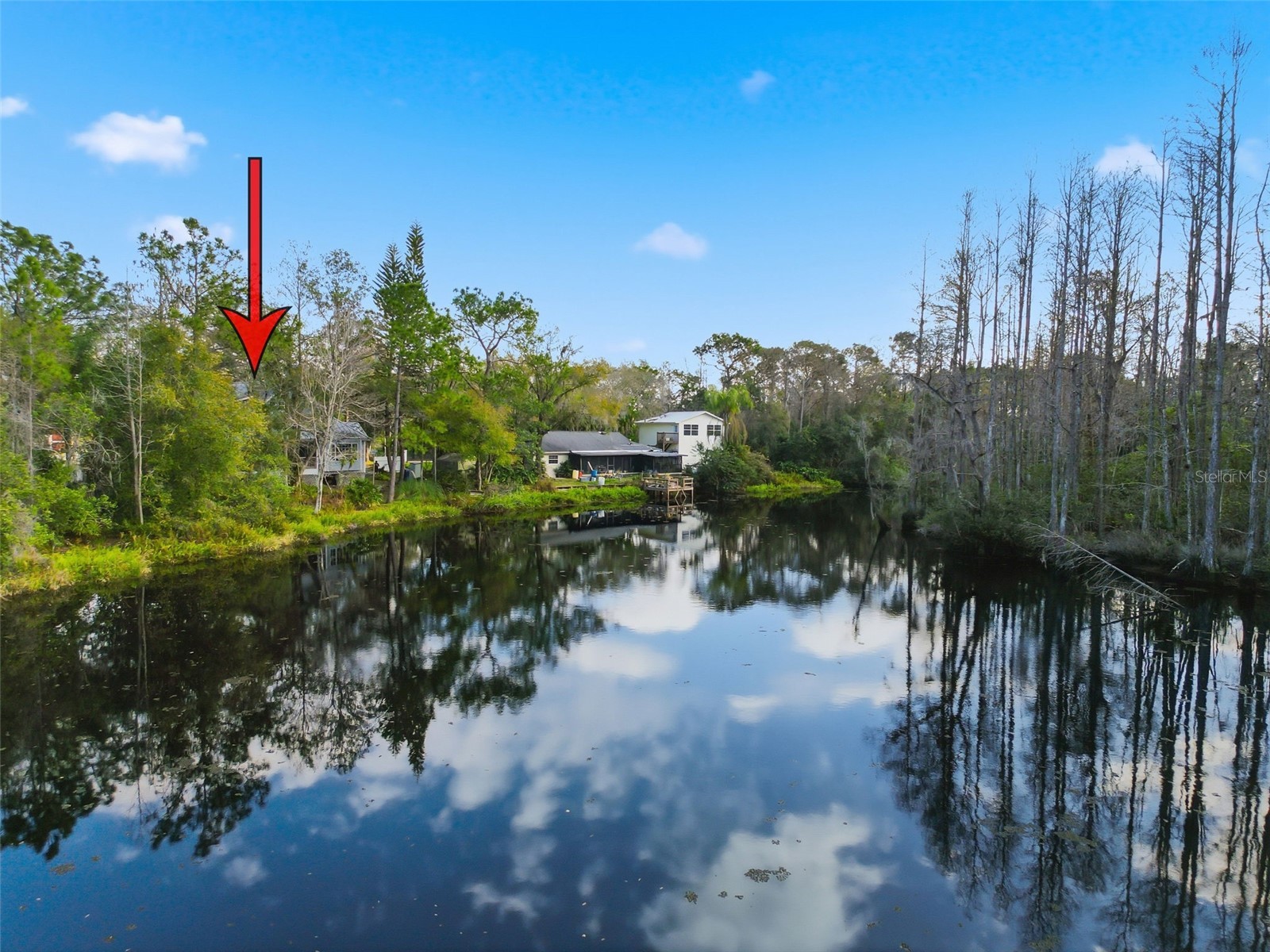 18324 Jorene Road Odessa FL 33556 TB8469078 image64