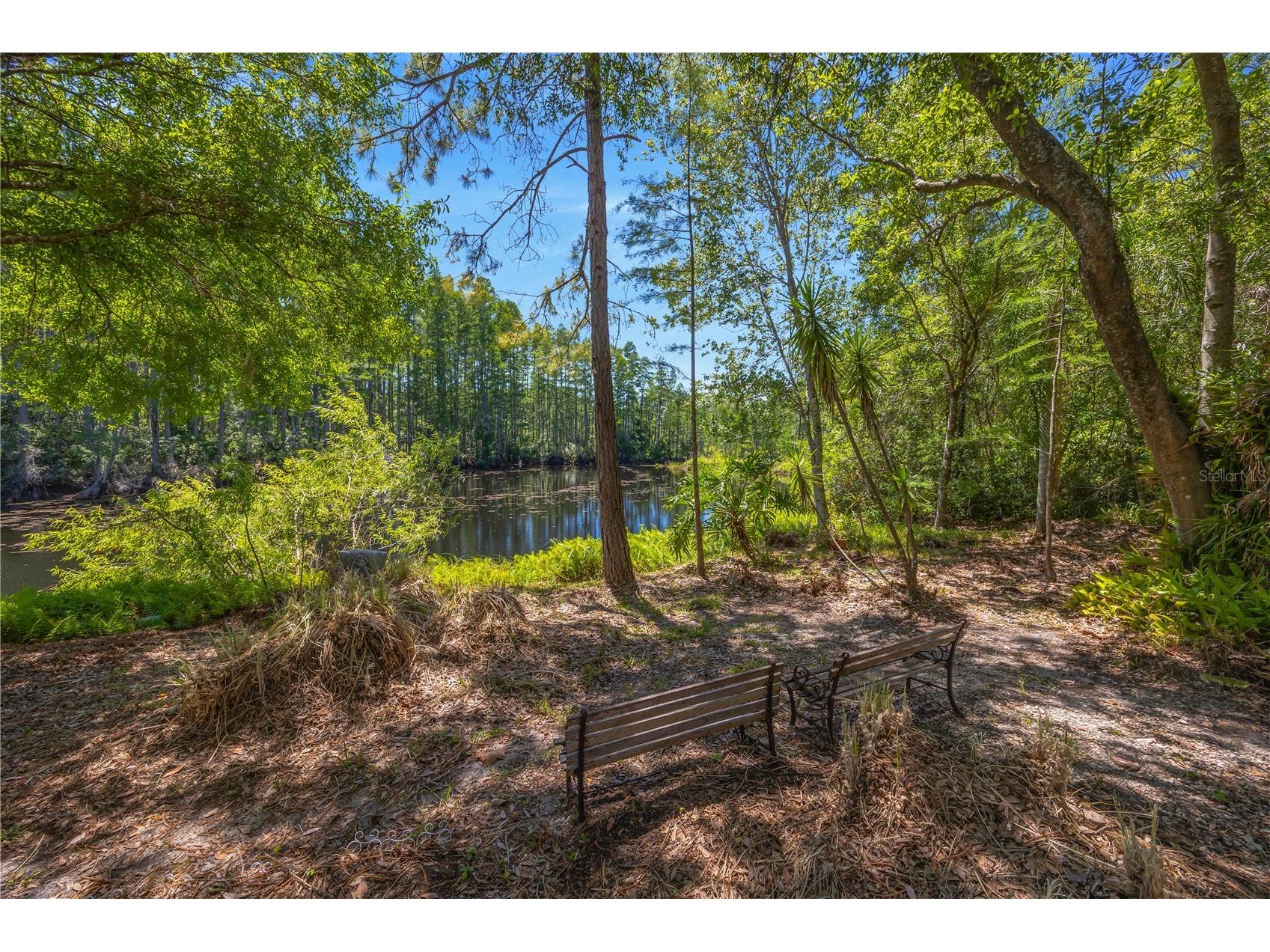 18324 Jorene Road Odessa FL 33556 TB8503141 image44