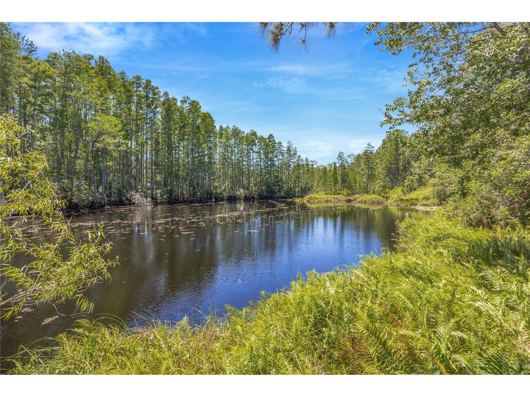 18324 Jorene Road Odessa FL 33556 TB8503141 image46