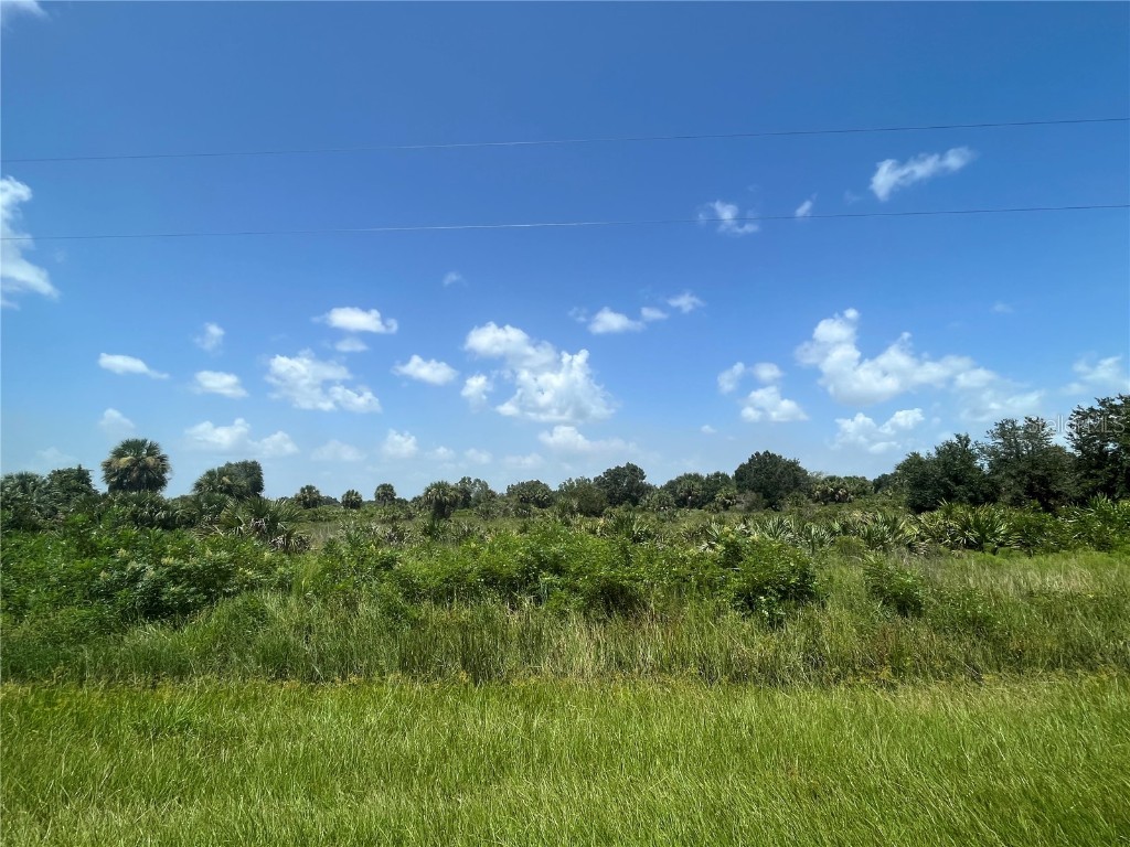 18325 NW 278th Street Okeechobee FL 34972 OK223104 image2