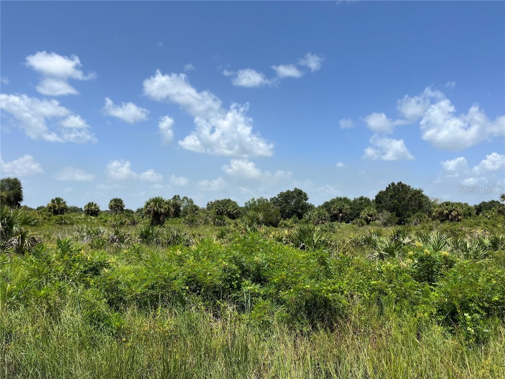 18325 NW 278th Street Okeechobee FL 34972 OK223104 image6