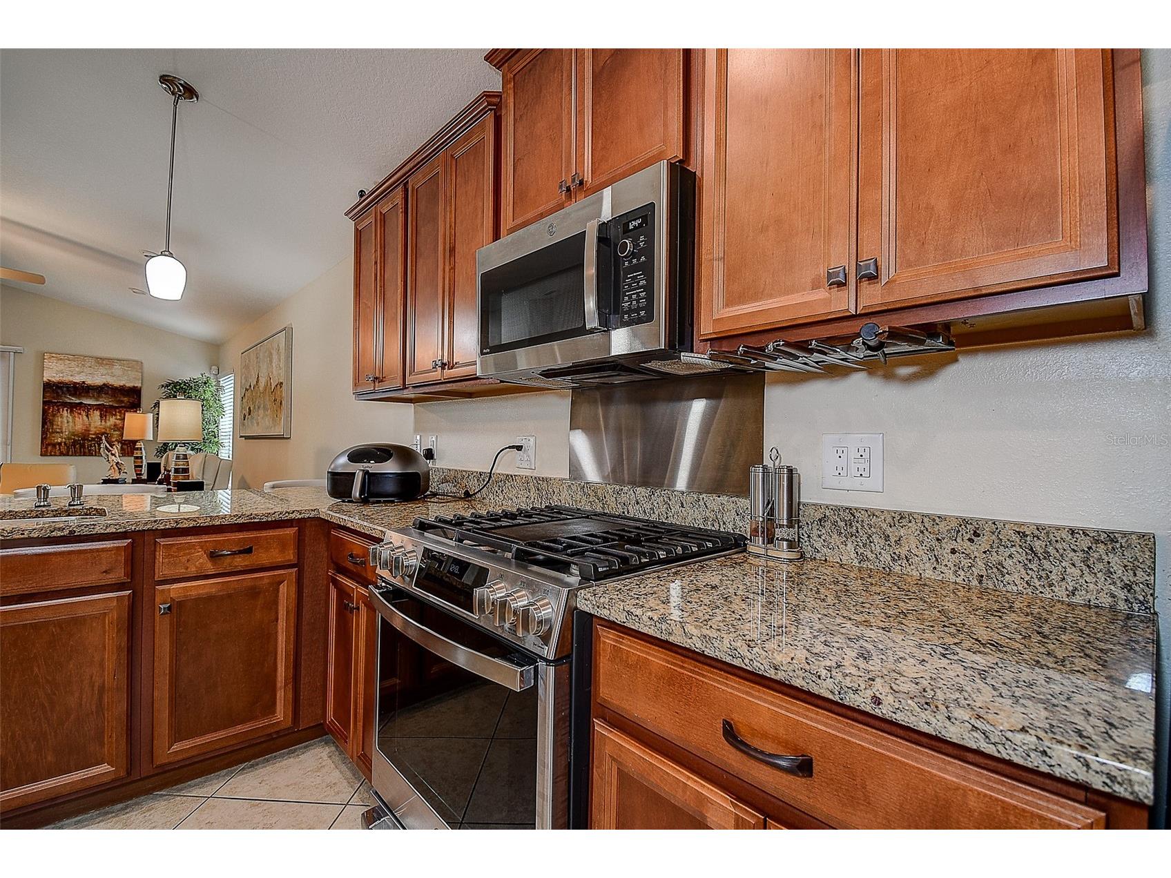 18329 Arbor Crest Drive Hudson FL 34667 TB8492701 image8