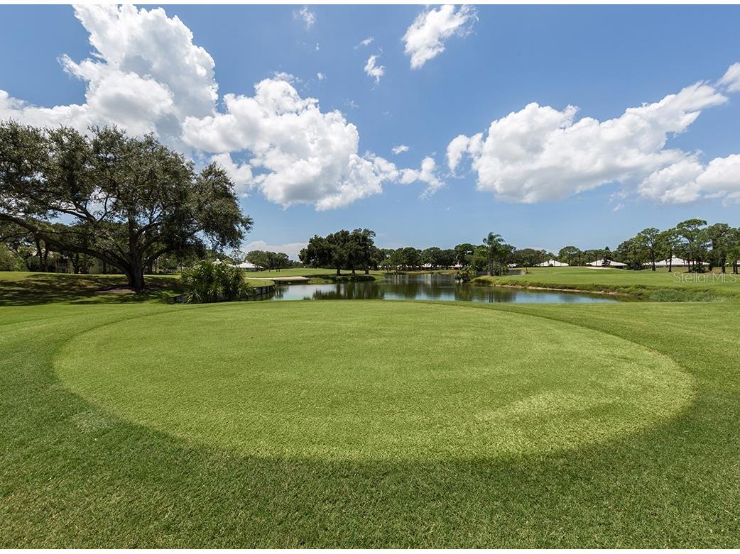 1833 Lancashire Drive Venice FL 34293 N6142270 image54