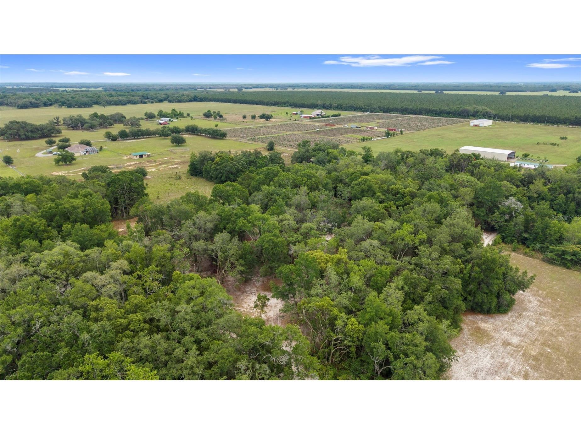18330 Booming Road Spring Hill FL 34610 TB8508959 image34