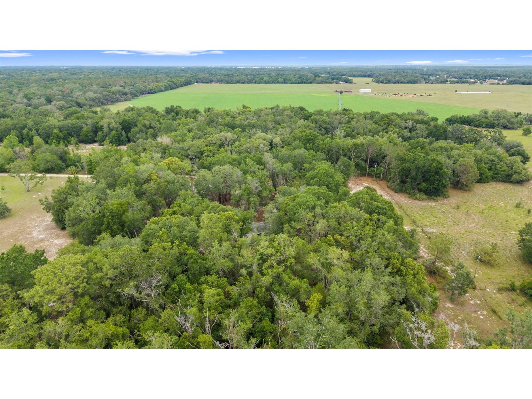 18330 Booming Road Spring Hill FL 34610 TB8508959 image39