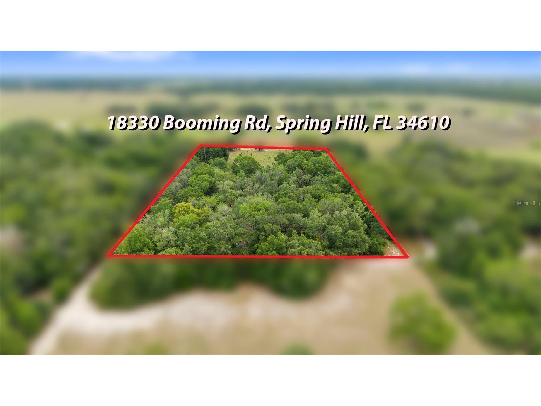 18330 Booming Road Spring Hill FL 34610 TB8508959 image41