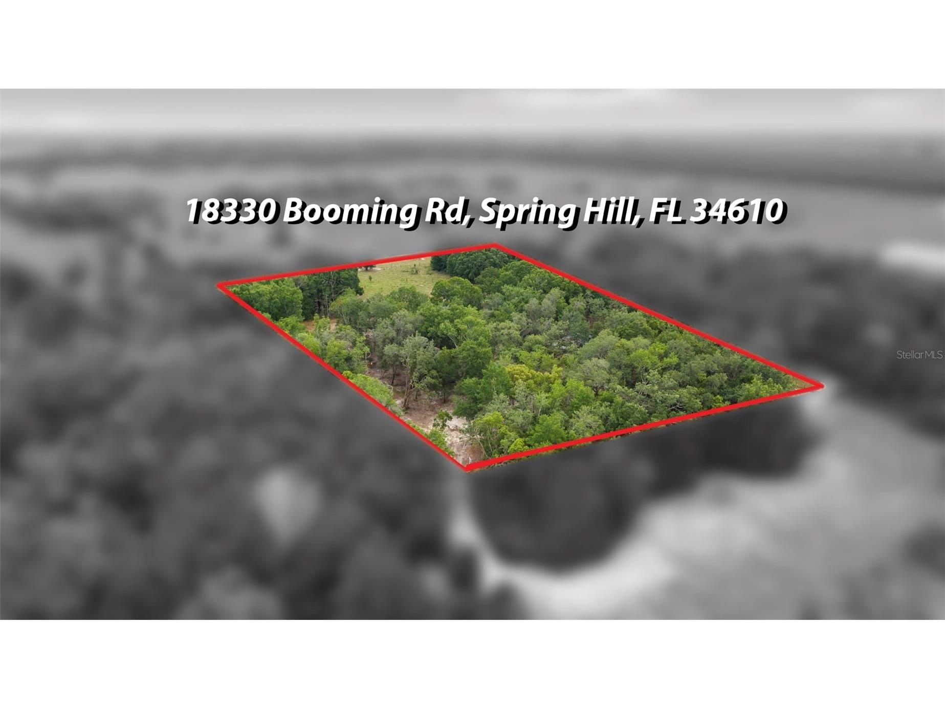 18330 Booming Road Spring Hill FL 34610 TB8508959 image43