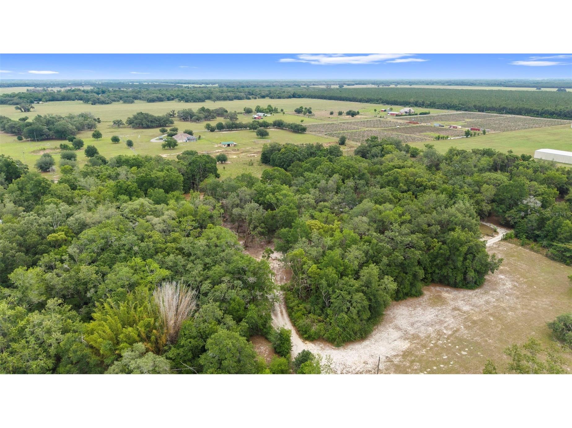 18330 Booming Road Spring Hill FL 34610 TB8508959 image44