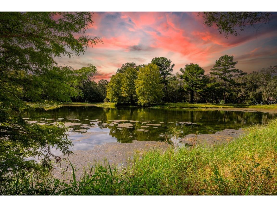 18330 Cortez Boulevard Brooksville FL 34601 U8232308 image3