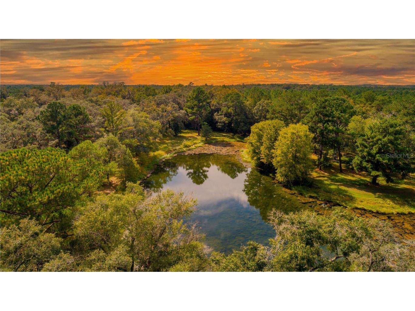 18330 Cortez Boulevard Brooksville FL 34601 U8232308 image4