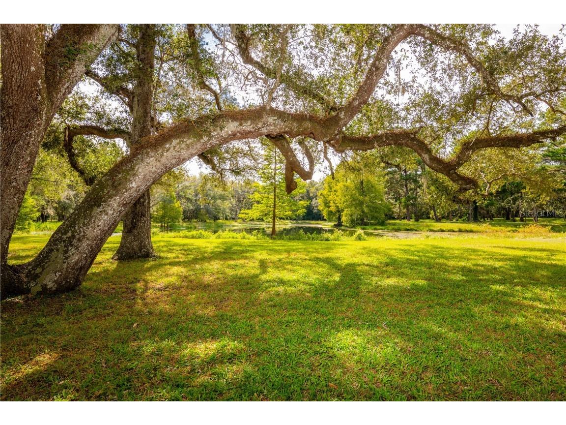 18330 Cortez Boulevard Brooksville FL 34601 U8232308 image44