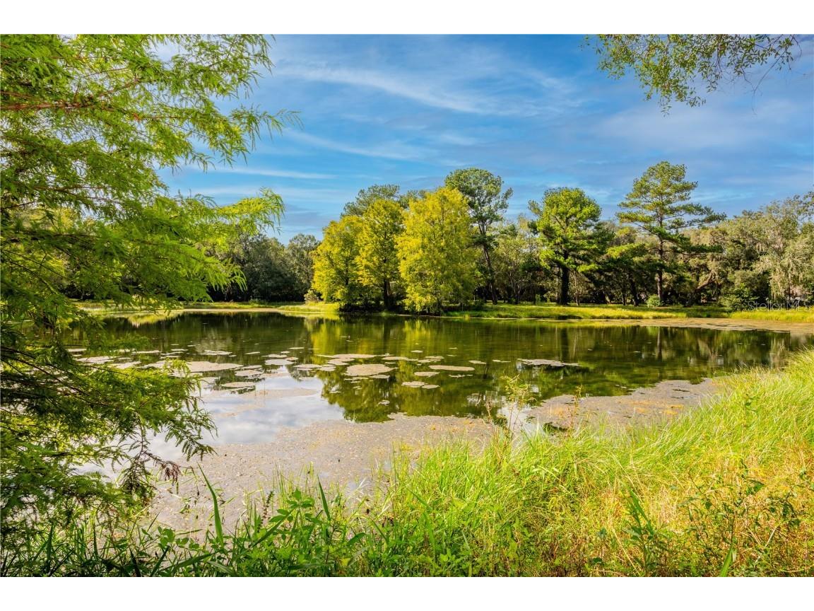 18330 Cortez Boulevard Brooksville FL 34601 U8232308 image47