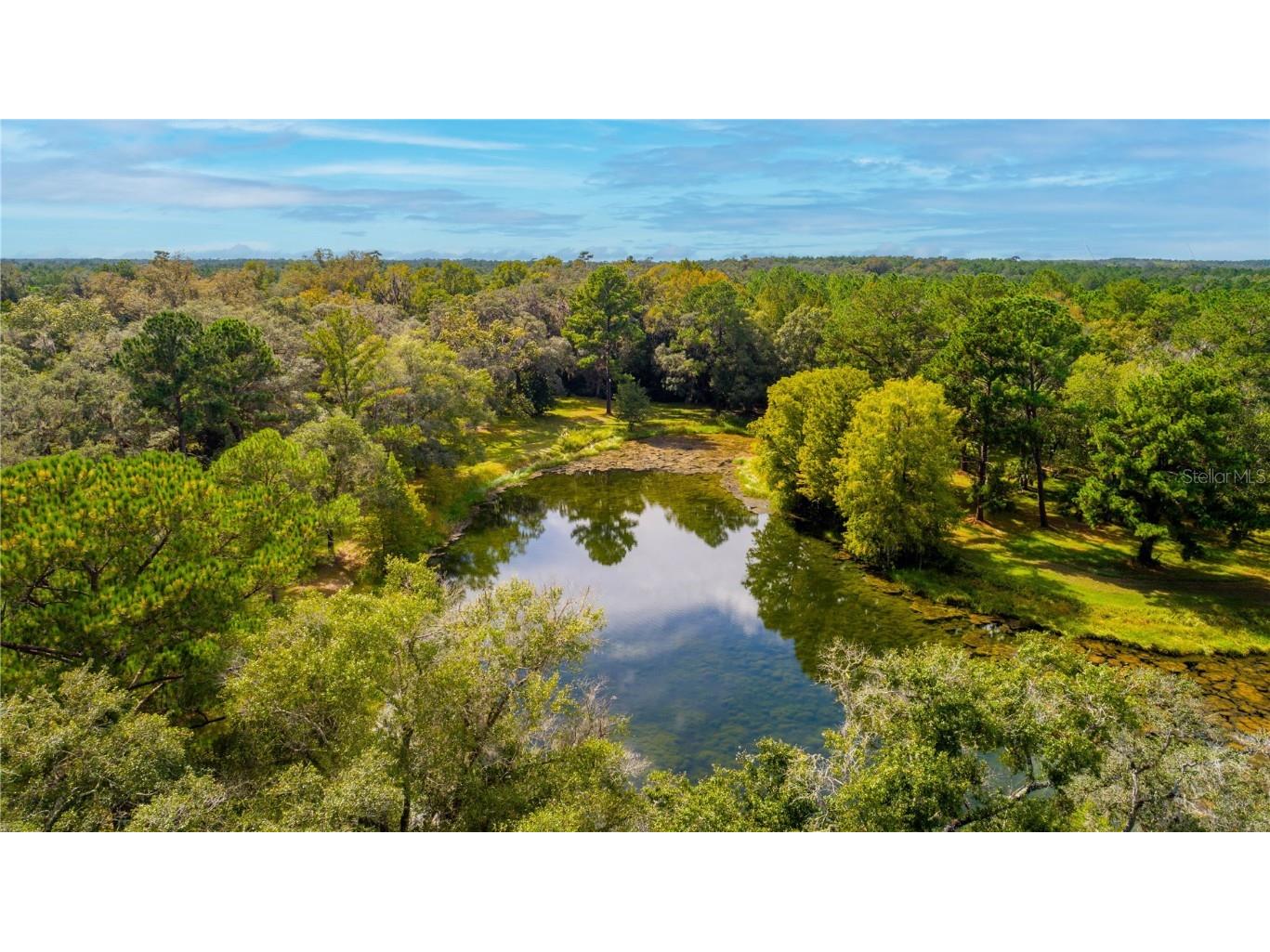 18330 Cortez Boulevard Brooksville FL 34601 U8232308 image48