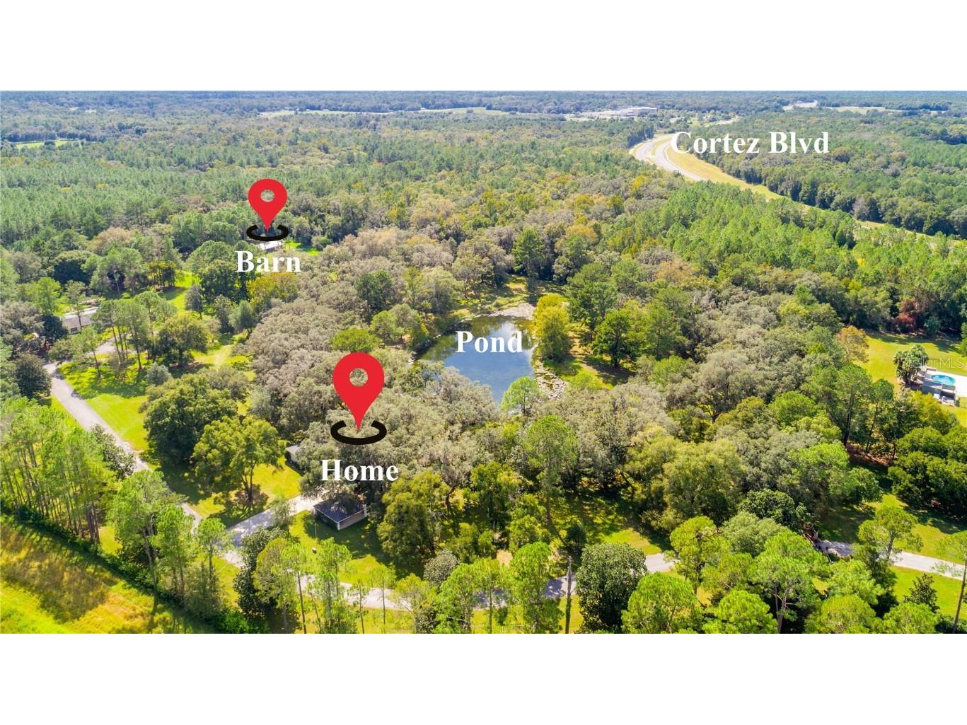 18330 Cortez Boulevard Brooksville FL 34601 U8232308 image5