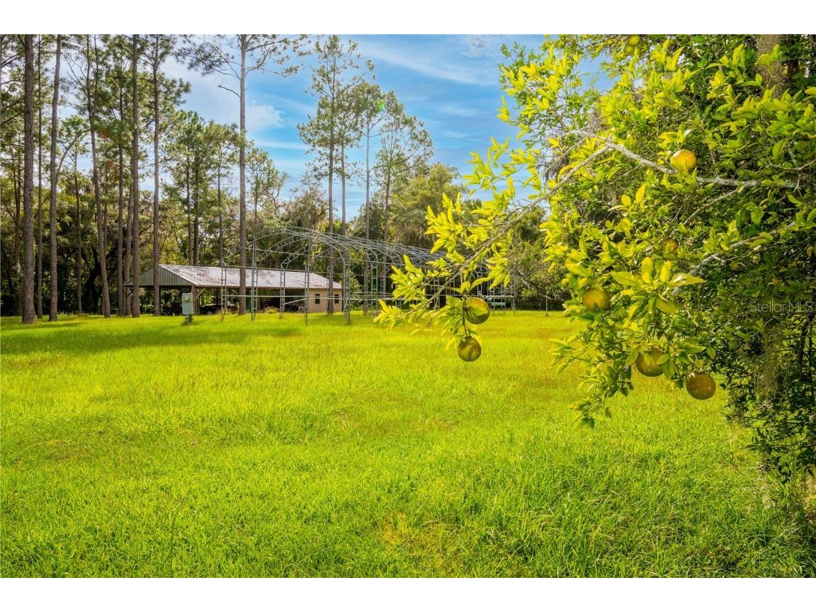 18330 Cortez Boulevard Brooksville FL 34601 U8232308 image53