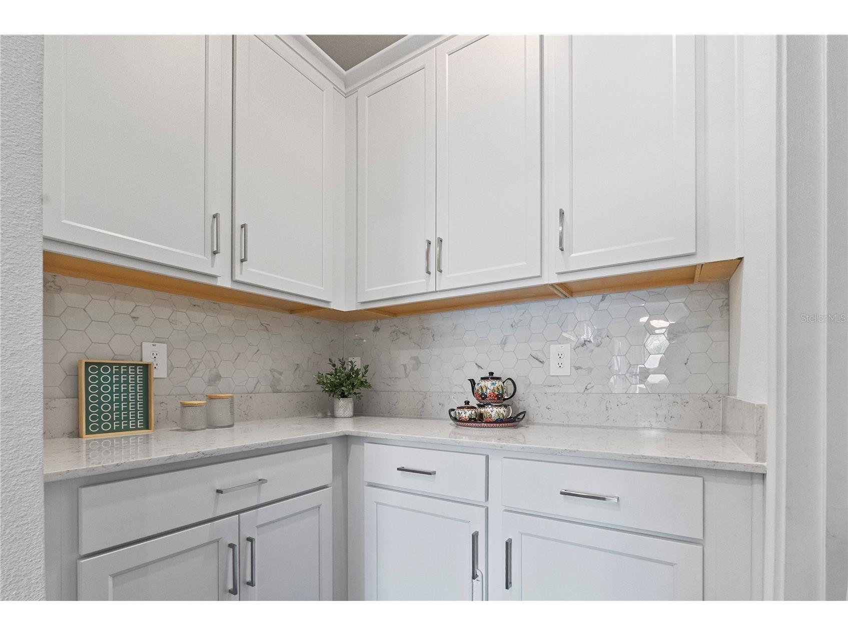 18331 Serene Lake Loop Lutz FL 33548 TB8455743 image11
