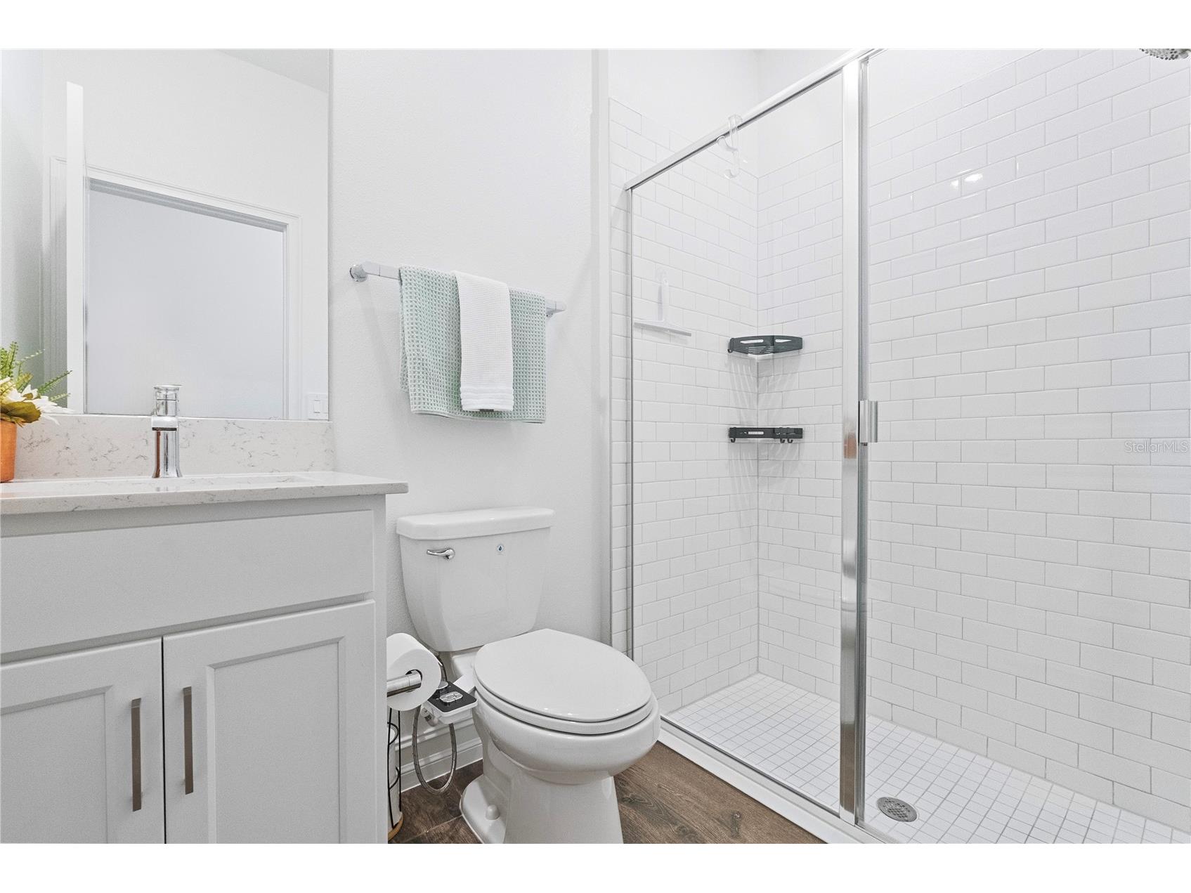18331 Serene Lake Loop Lutz FL 33548 TB8455743 image34
