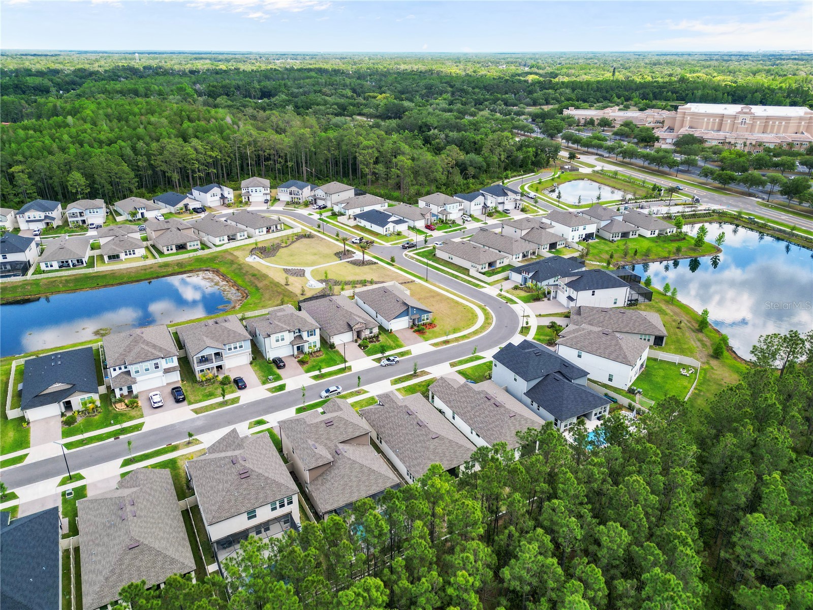 18331 Serene Lake Loop Lutz FL 33548 TB8455743 image6