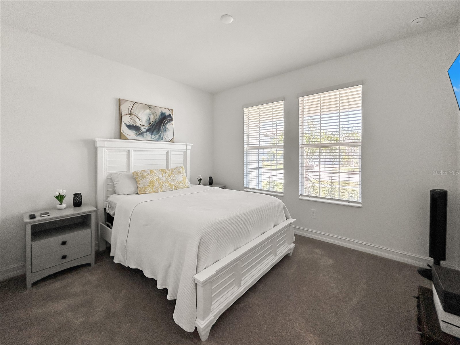 18334 Serene Lake Loop Lutz FL 33548 TB8507291 image11