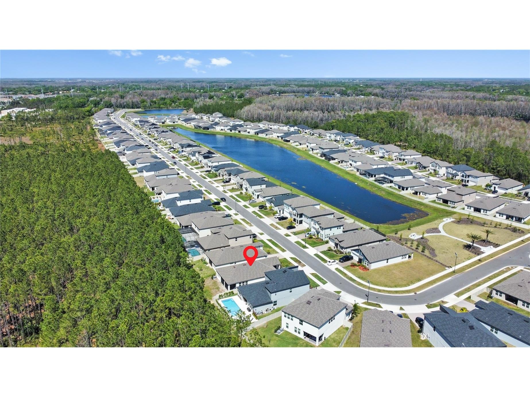 18334 Serene Lake Loop Lutz FL 33548 TB8507291 image26