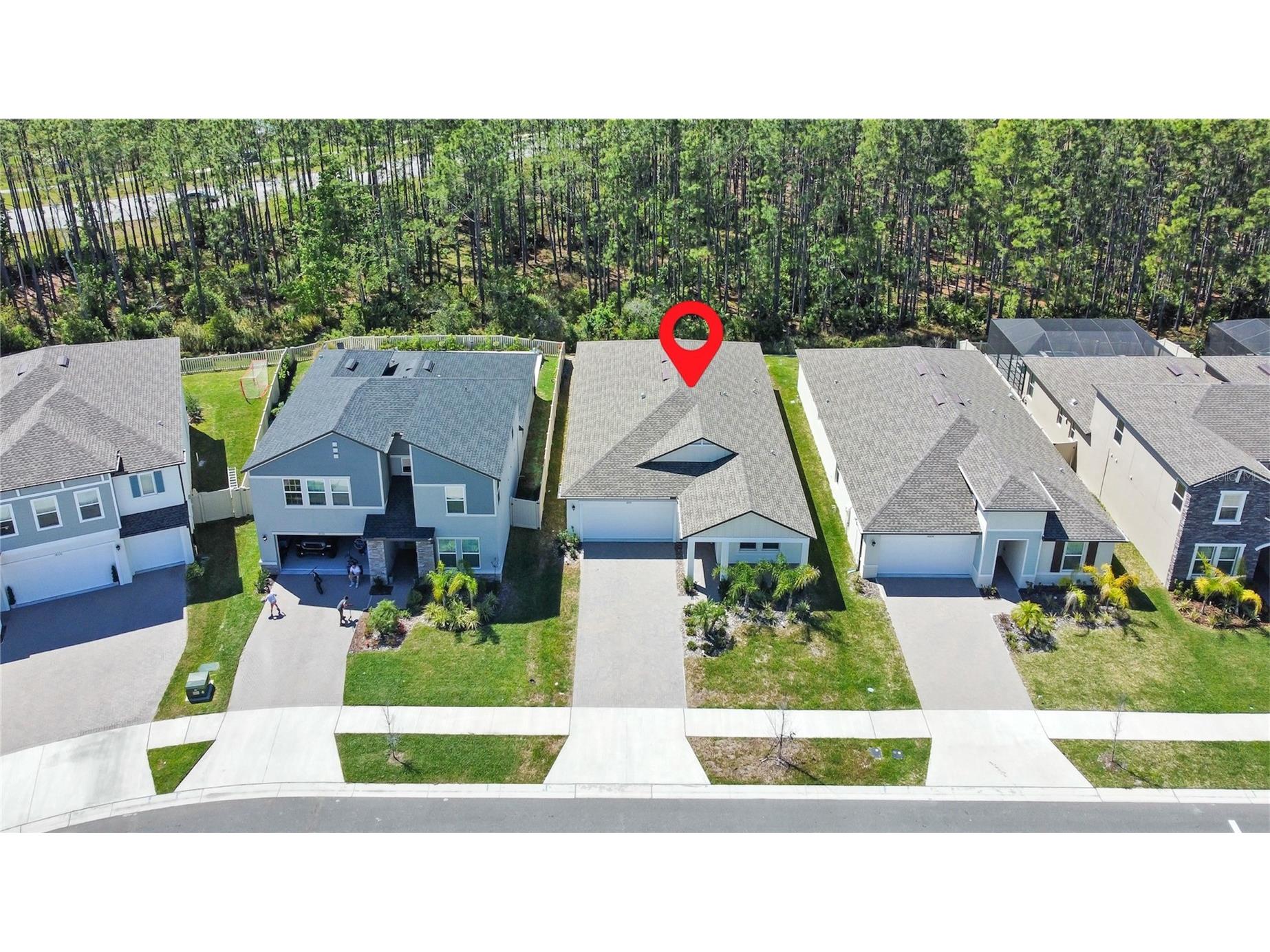 18334 Serene Lake Loop Lutz FL 33548 TB8507291 image27