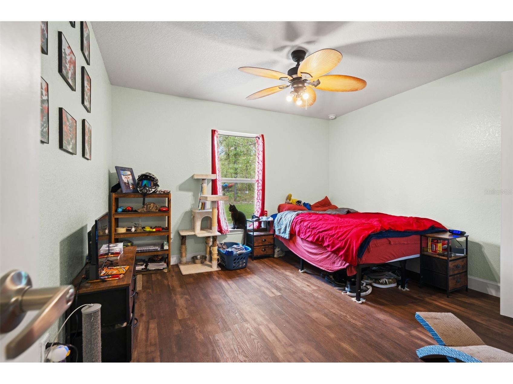 18336 Macek Road Weeki Wachee FL 34614 W7885828 image22