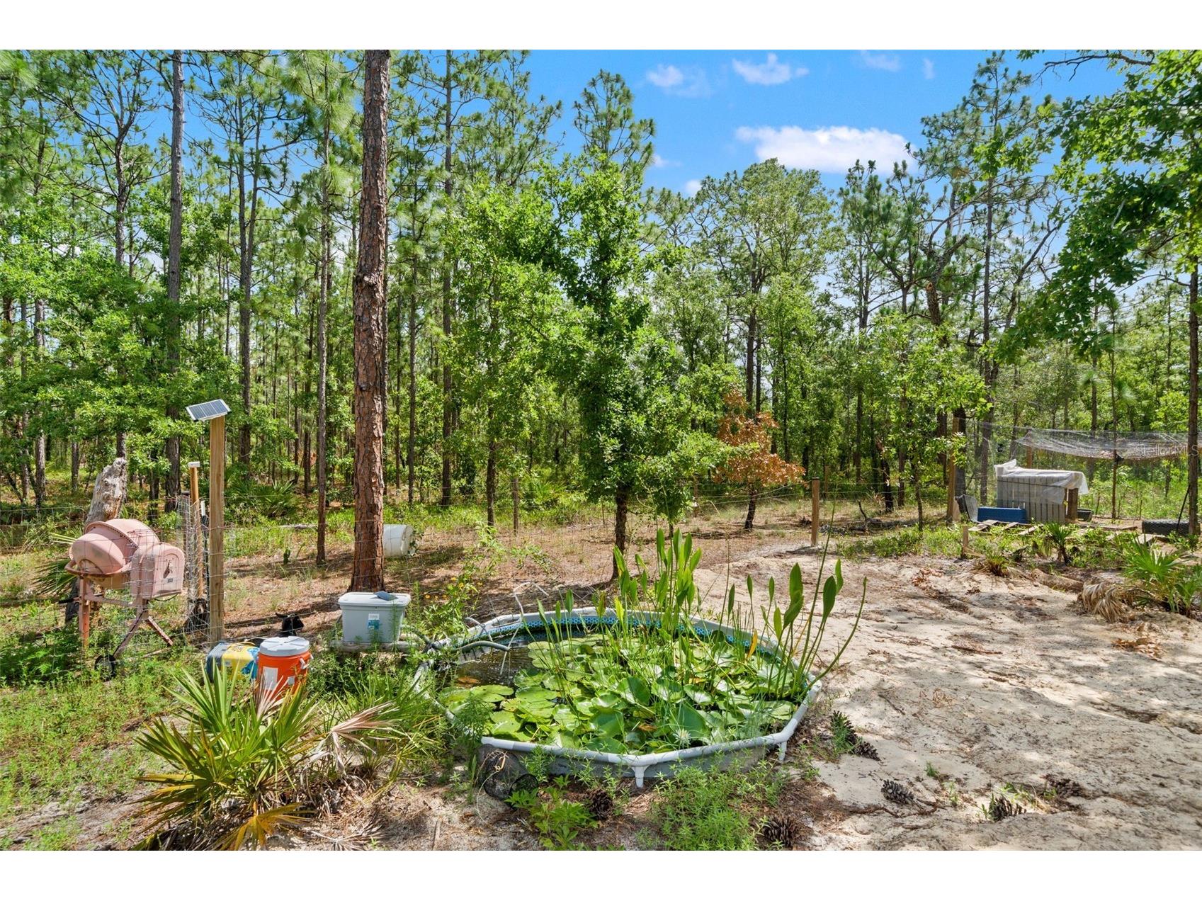 18336 Macek Road Weeki Wachee FL 34614 W7885828 image42