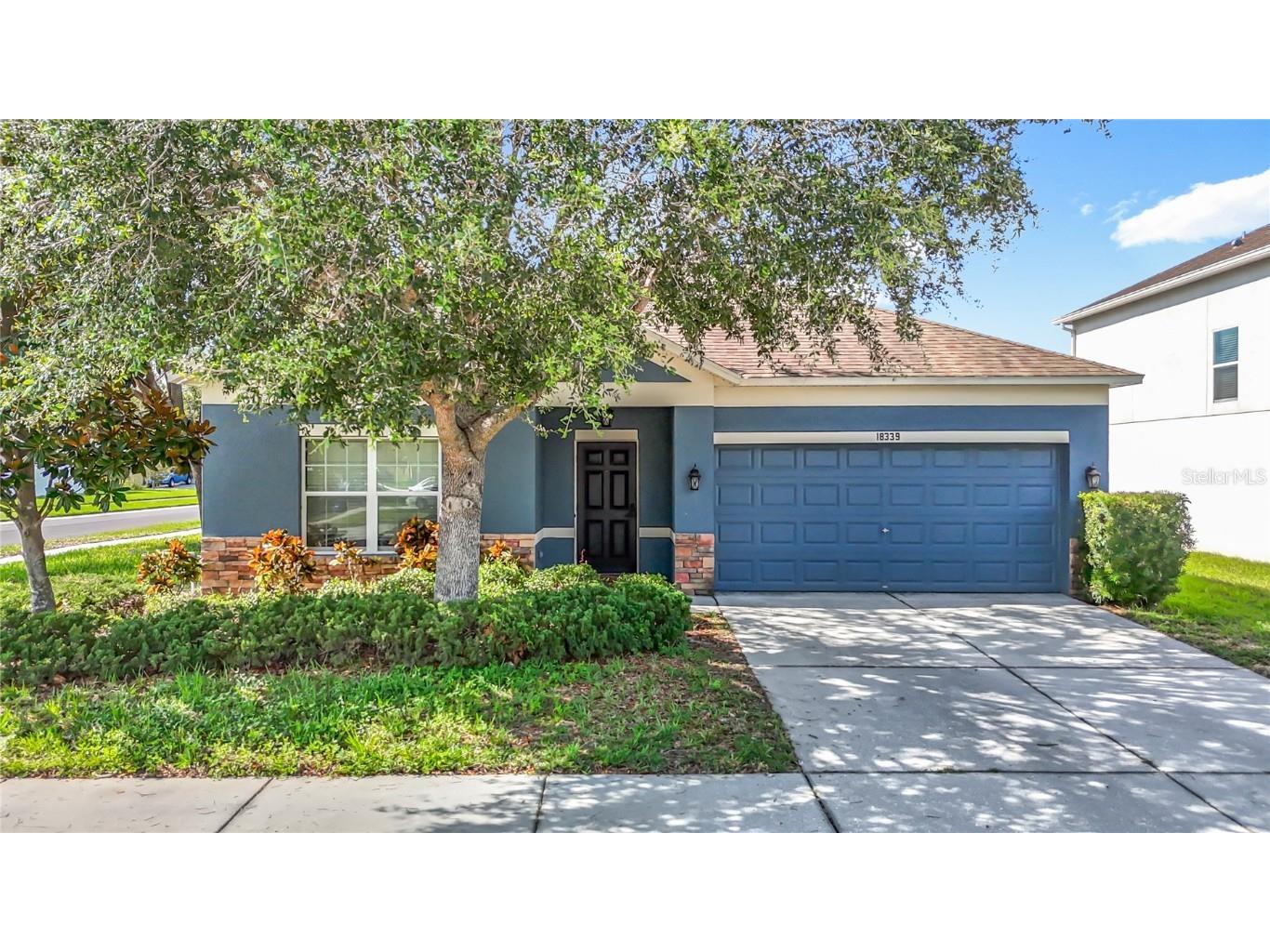 18339 Fish Loop Land O Lakes FL 34638 TB8399847 image1