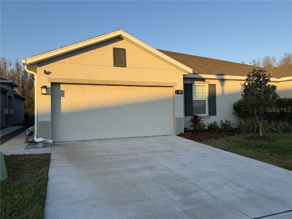 18339 Turning Leaf Circle Land O Lakes FL 34638 OM695934 image1