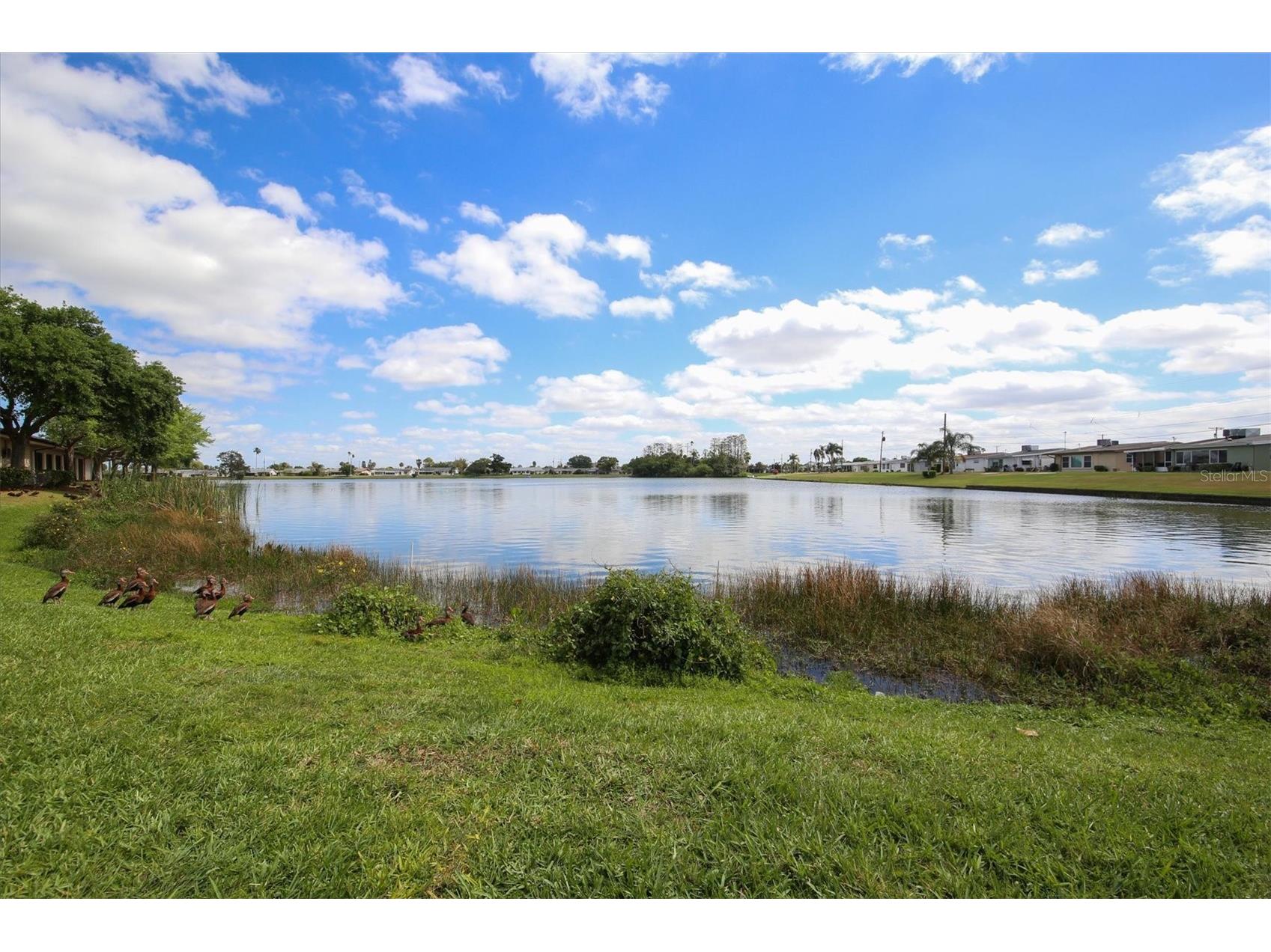 1834 E Del Webb Boulevard Sun City Center FL 33573 TB8506571 image68