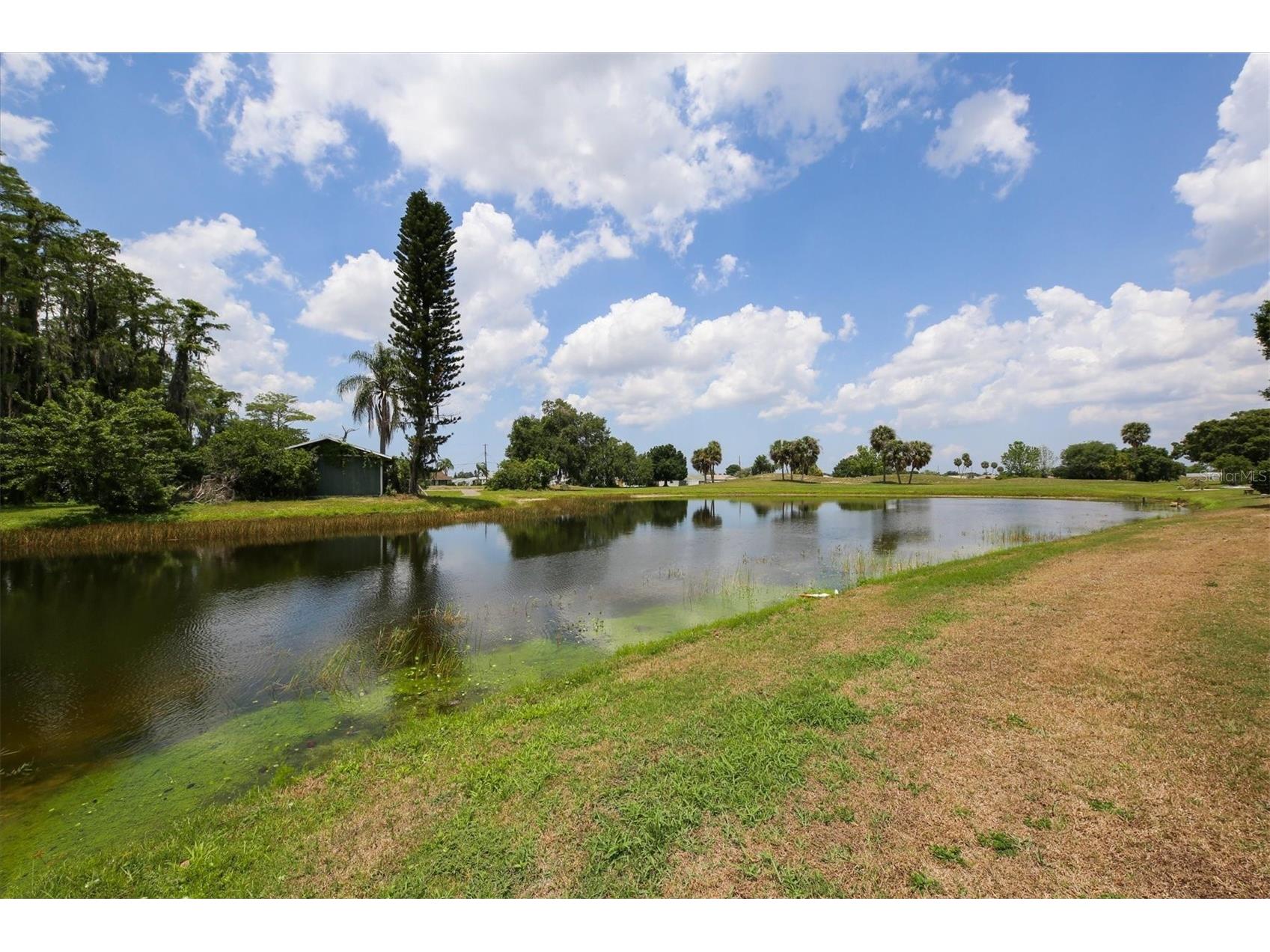 1834 E Del Webb Boulevard Sun City Center FL 33573 TB8506571 image69