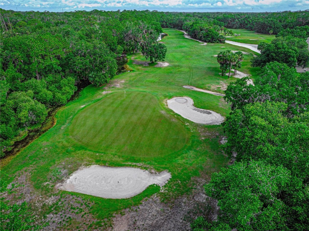 1834 Turnbull Lakes Drive New Smyrna Beach FL 32168 NS1085364 image33