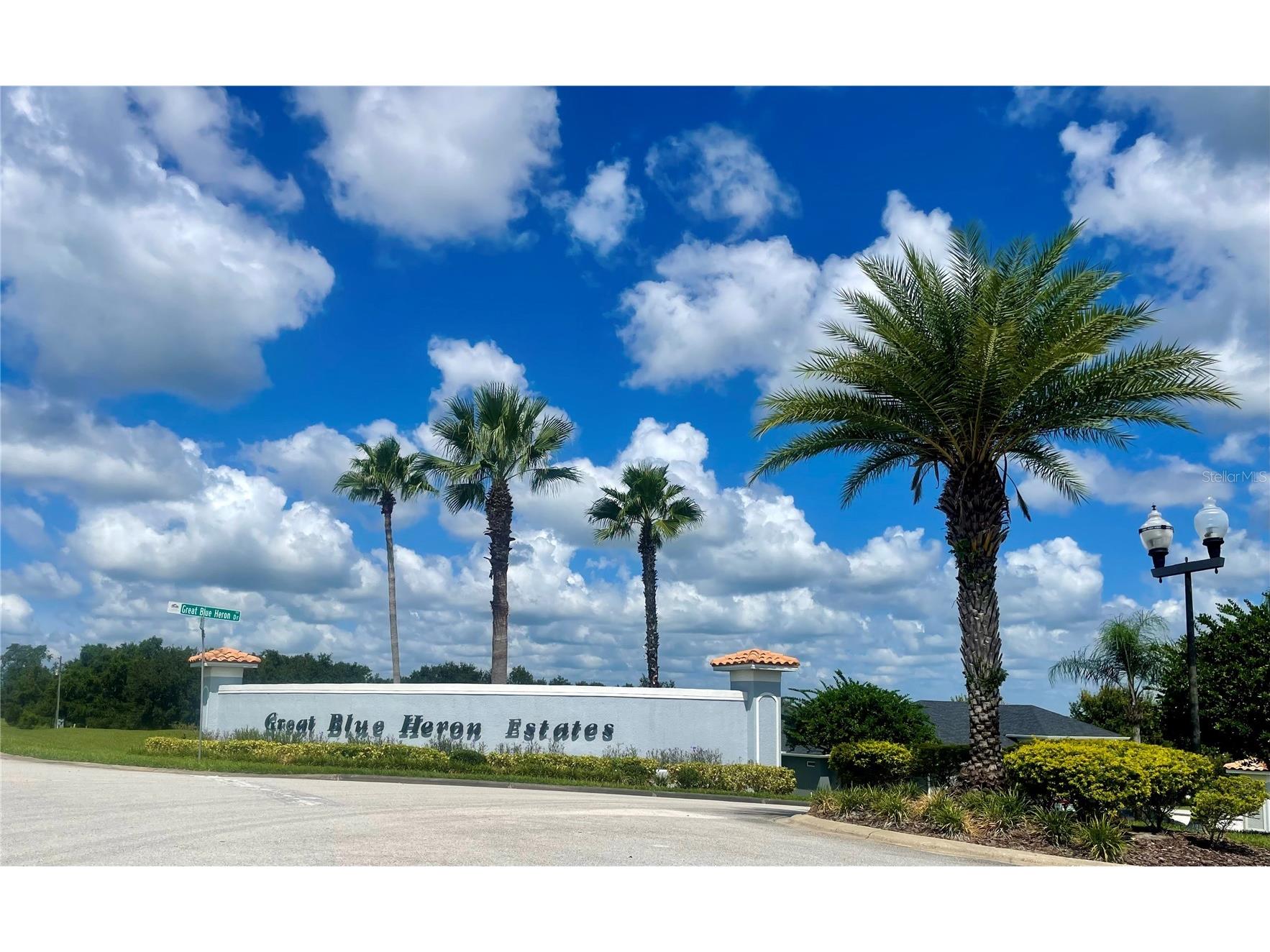 18340 Great Blue Heron Drive Groveland FL 34736 O6379087 image1