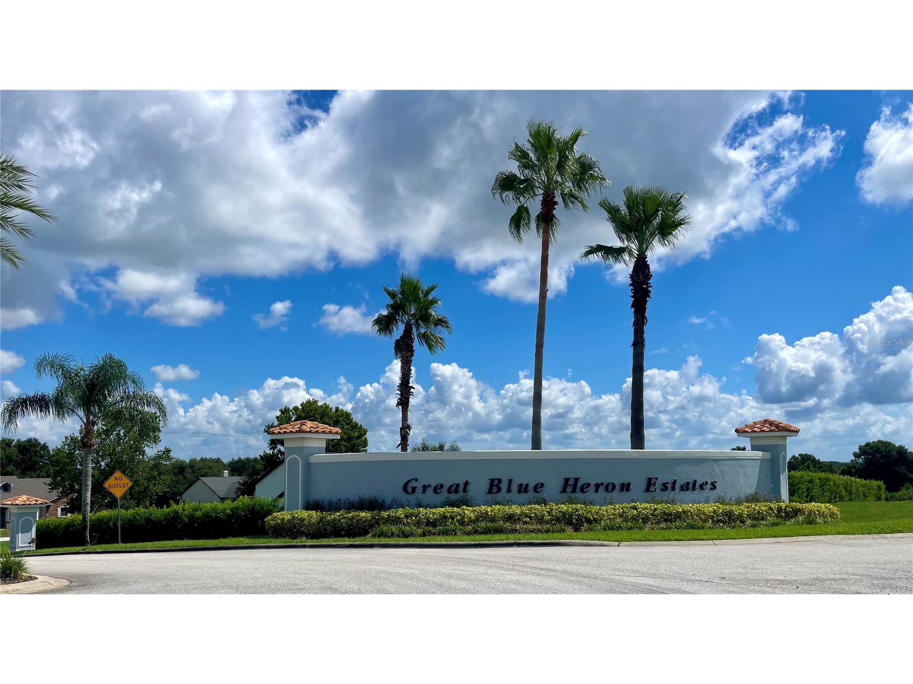 18340 Great Blue Heron Drive Groveland FL 34736 O6379087 image2