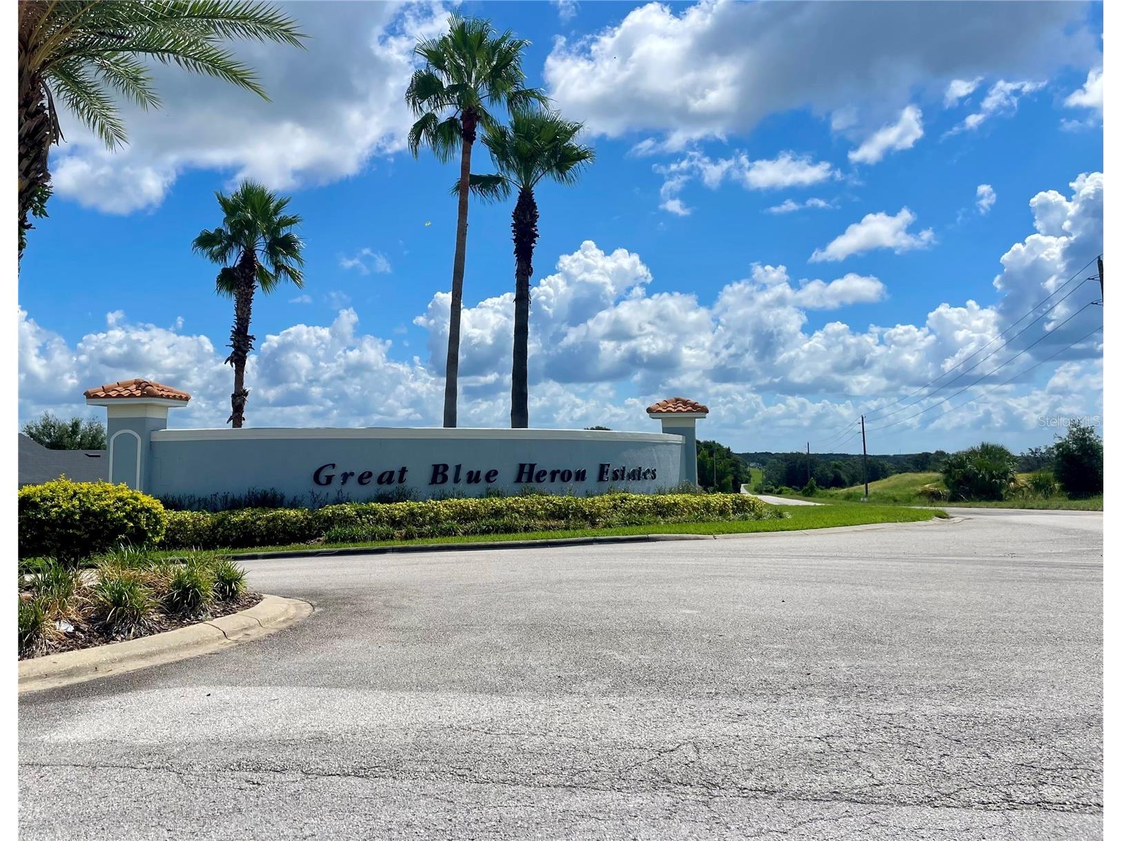 18340 Great Blue Heron Drive Groveland FL 34736 O6379087 image3
