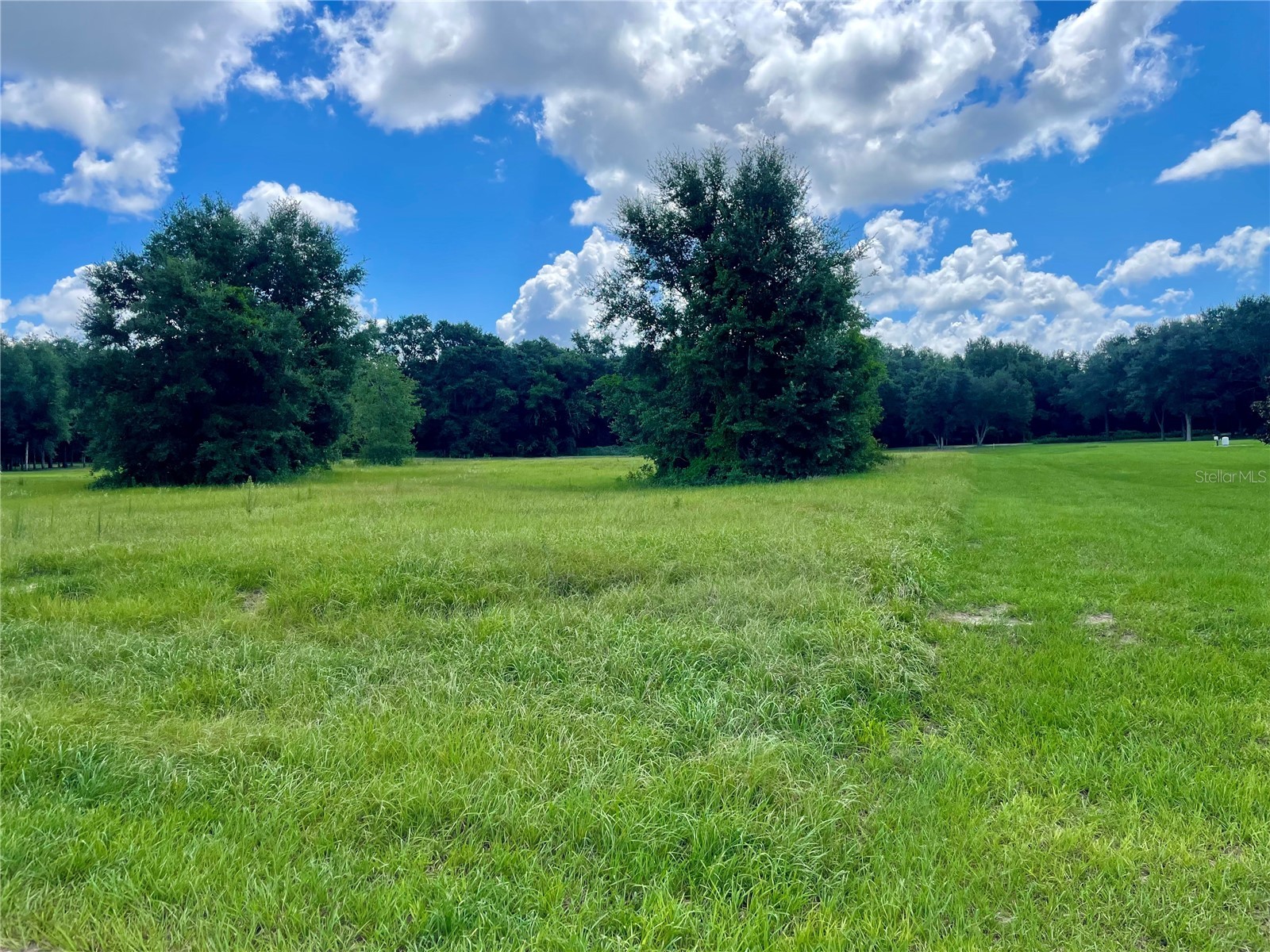 18340 Great Blue Heron Drive Groveland FL 34736 O6379087 image5