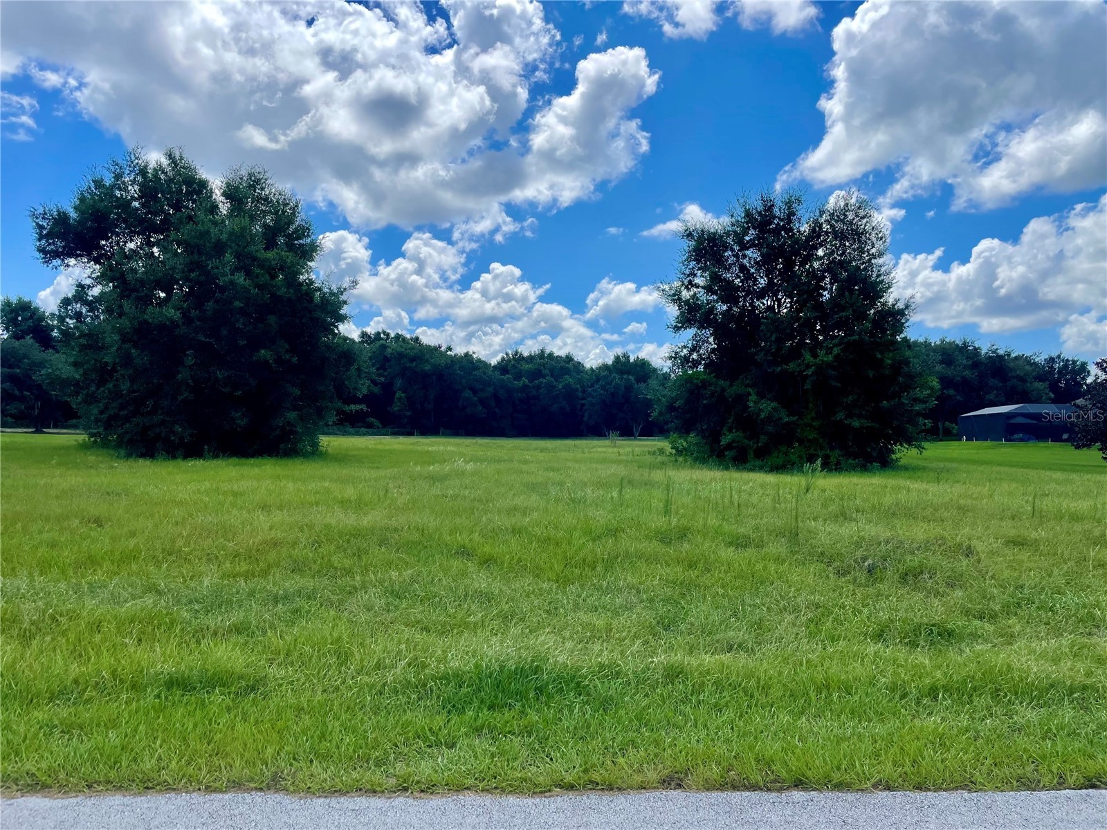 18340 Great Blue Heron Drive Groveland FL 34736 O6379087 image6