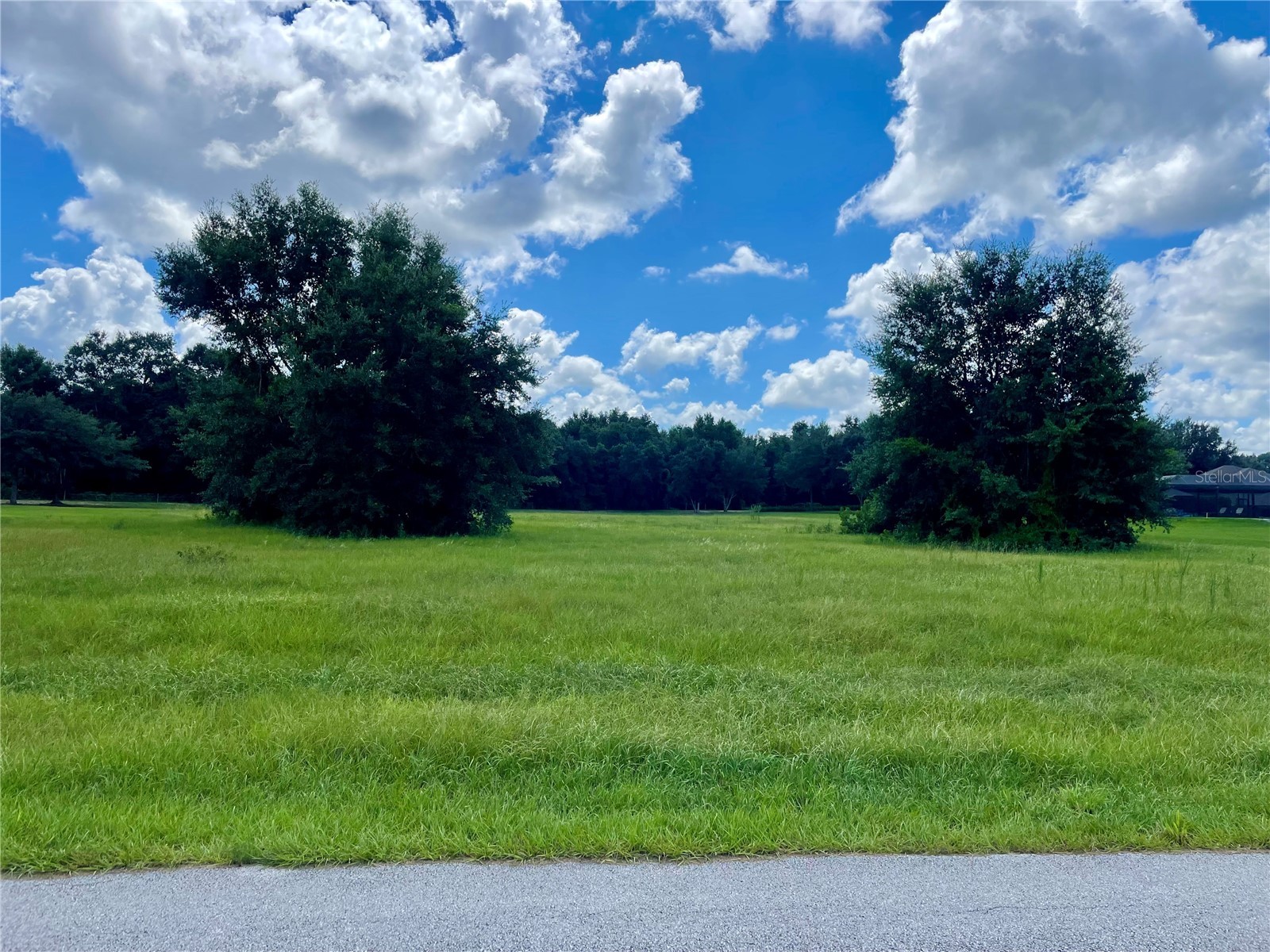 18340 Great Blue Heron Drive Groveland FL 34736 O6379087 image7