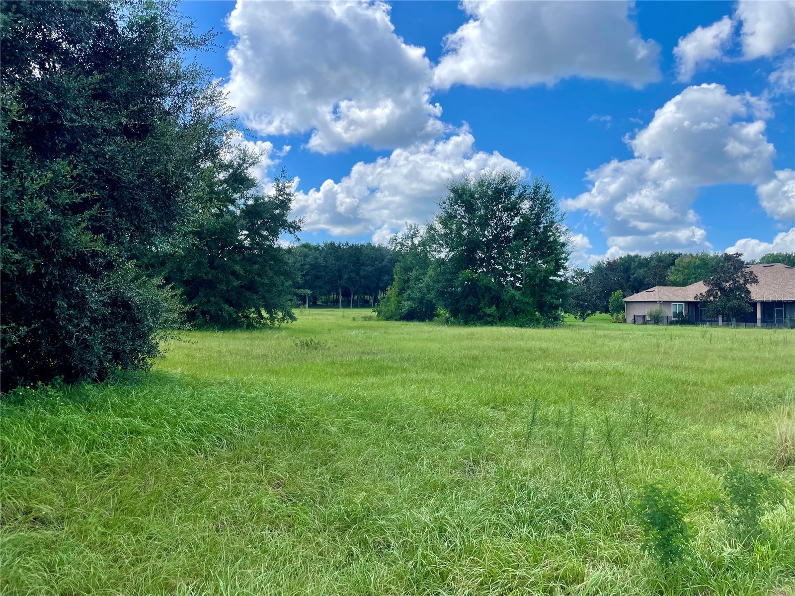 18340 Great Blue Heron Drive Groveland FL 34736 O6379087 image8