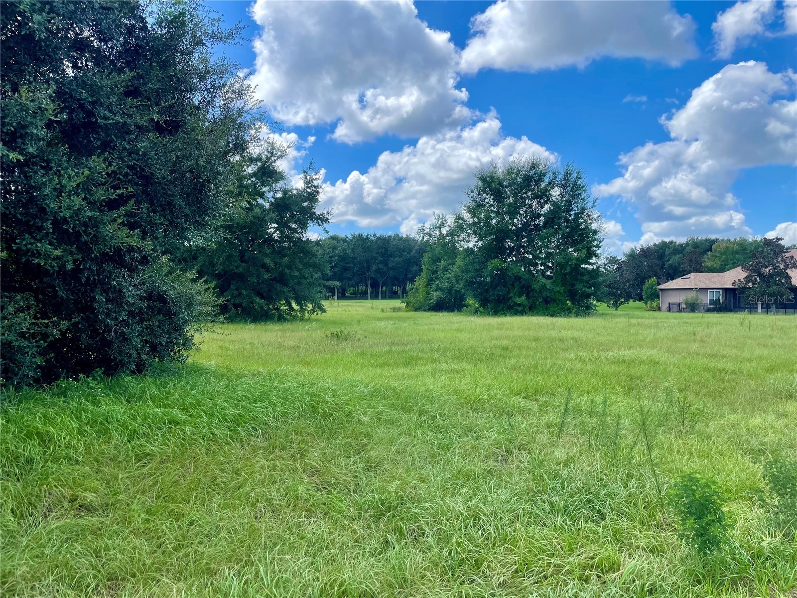 18340 Great Blue Heron Drive Groveland FL 34736 O6379087 image9