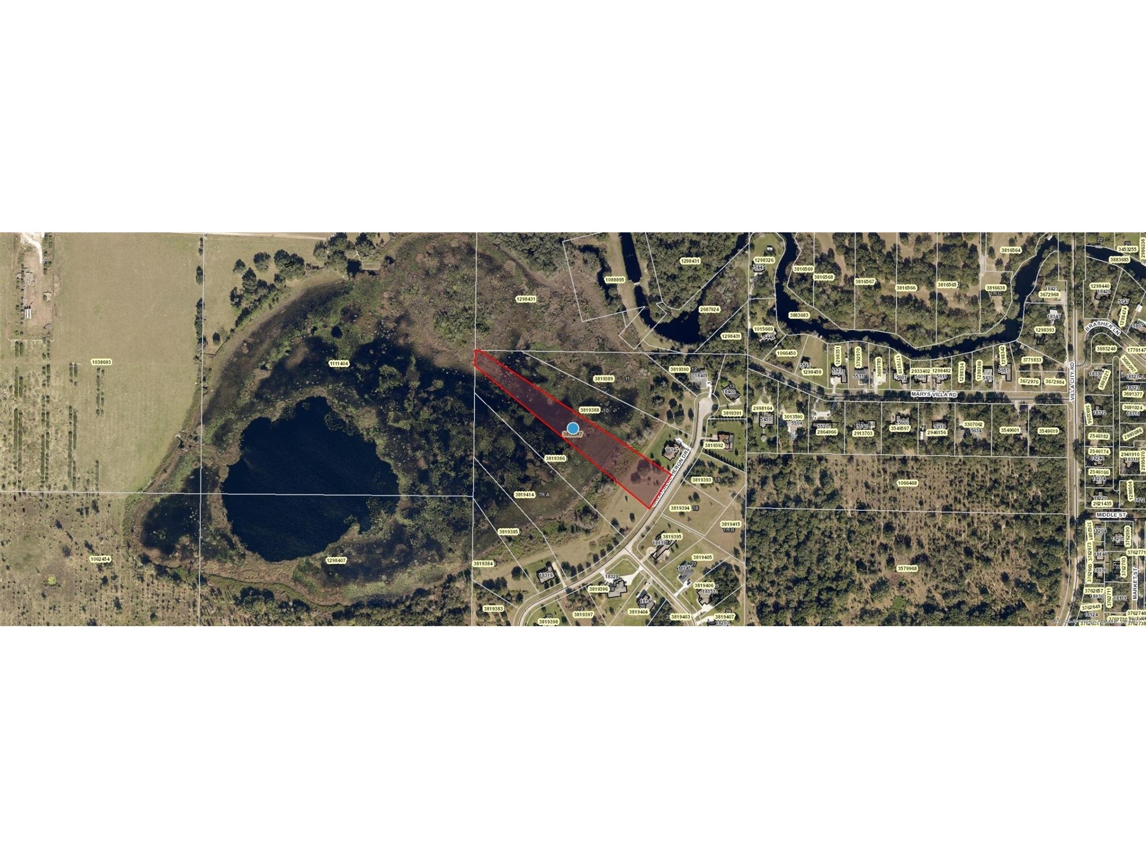 18341 Great Blue Heron Drive Groveland FL 34736 C7455374 image1