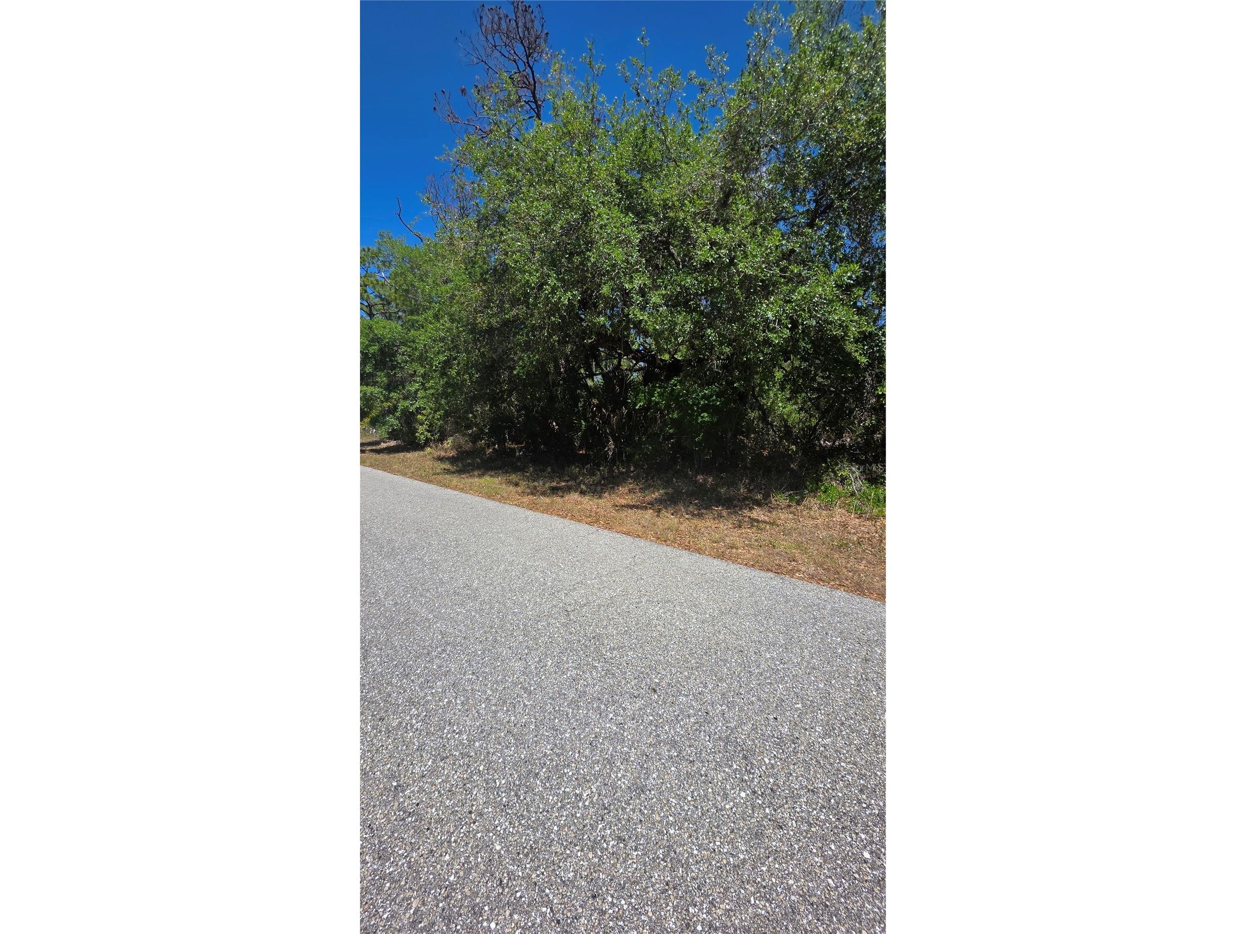 18342 Oxford Avenue Port Charlotte FL 33948 C7517449 image4