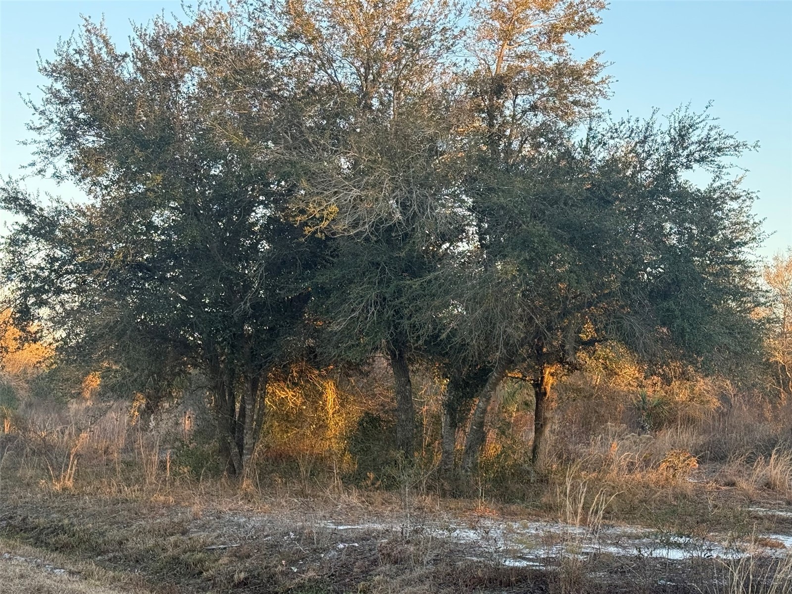 18344 NW 284th Street Okeechobee FL 34972 K4903283 image2