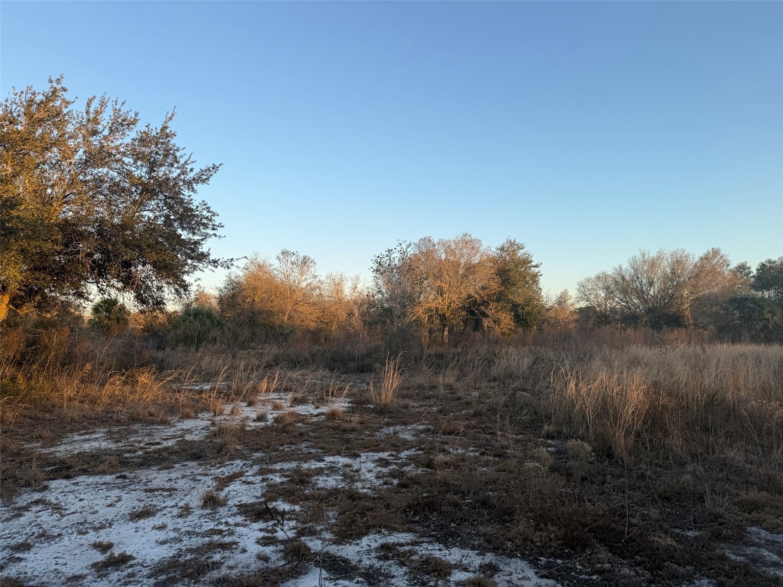 18344 NW 284th Street Okeechobee FL 34972 K4903283 image4