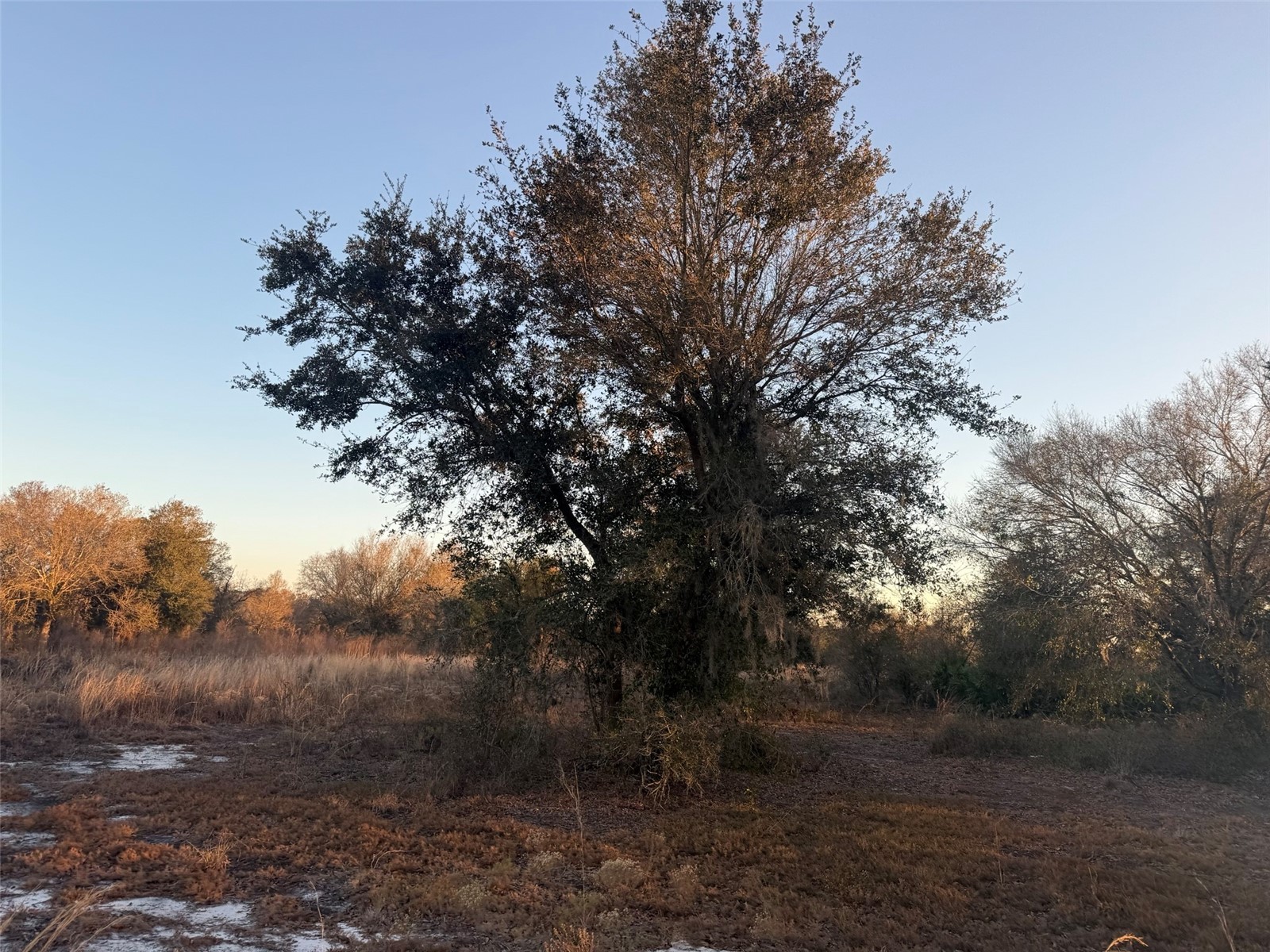 18344 NW 284th Street Okeechobee FL 34972 K4903283 image6