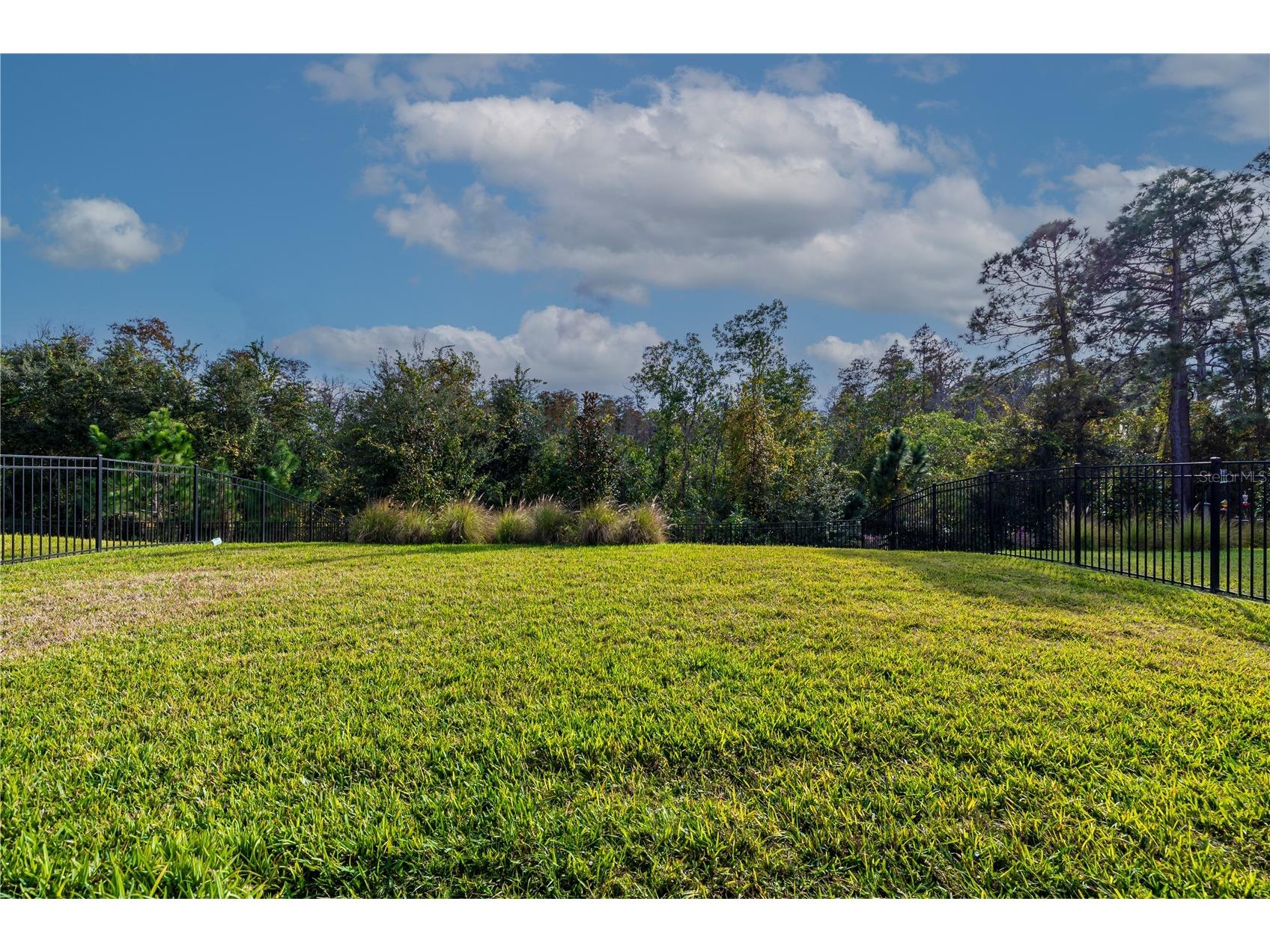 18344 Oliver Twist Way Winter Garden FL 34787 S5140531 image27