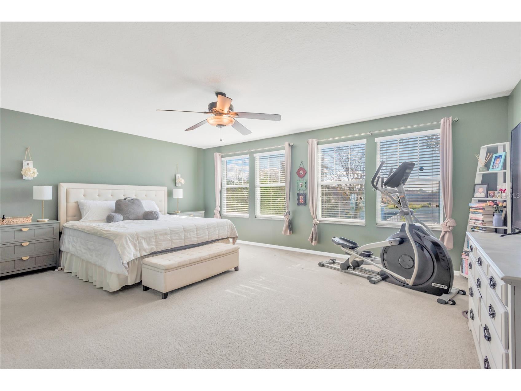 18345 Fish Loop Land O Lakes FL 34638 TB8460014 image16