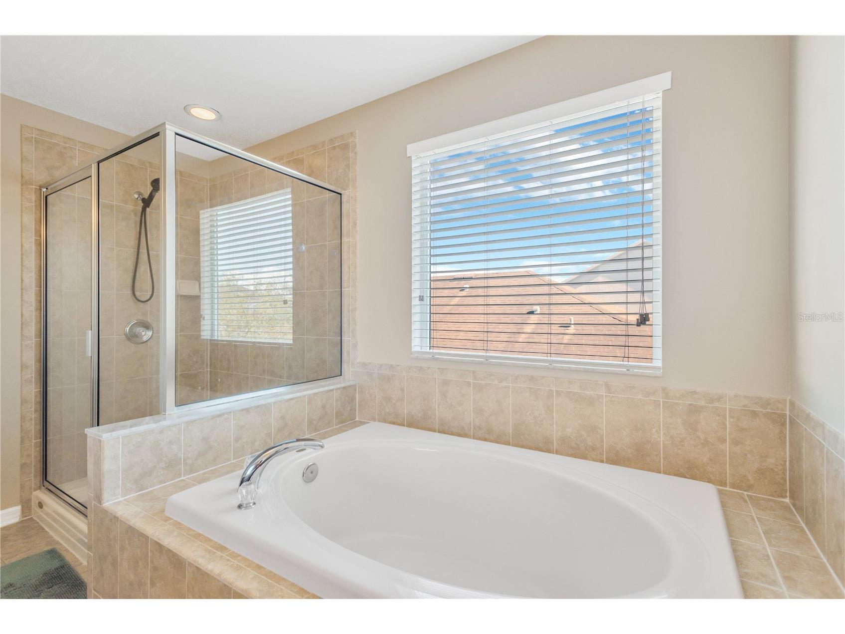 18345 Fish Loop Land O Lakes FL 34638 TB8460014 image19