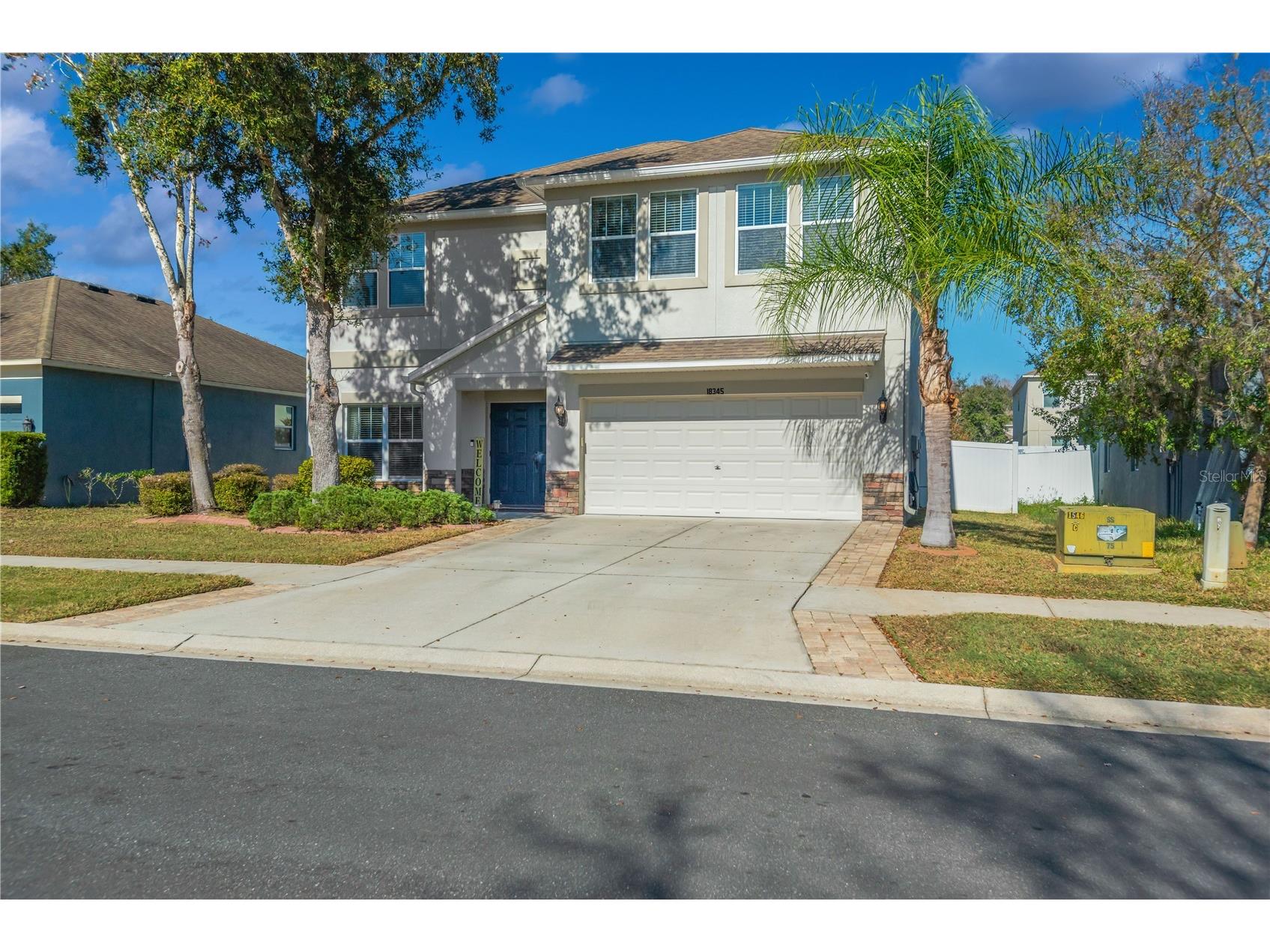 18345 Fish Loop Land O Lakes FL 34638 TB8460014 image2