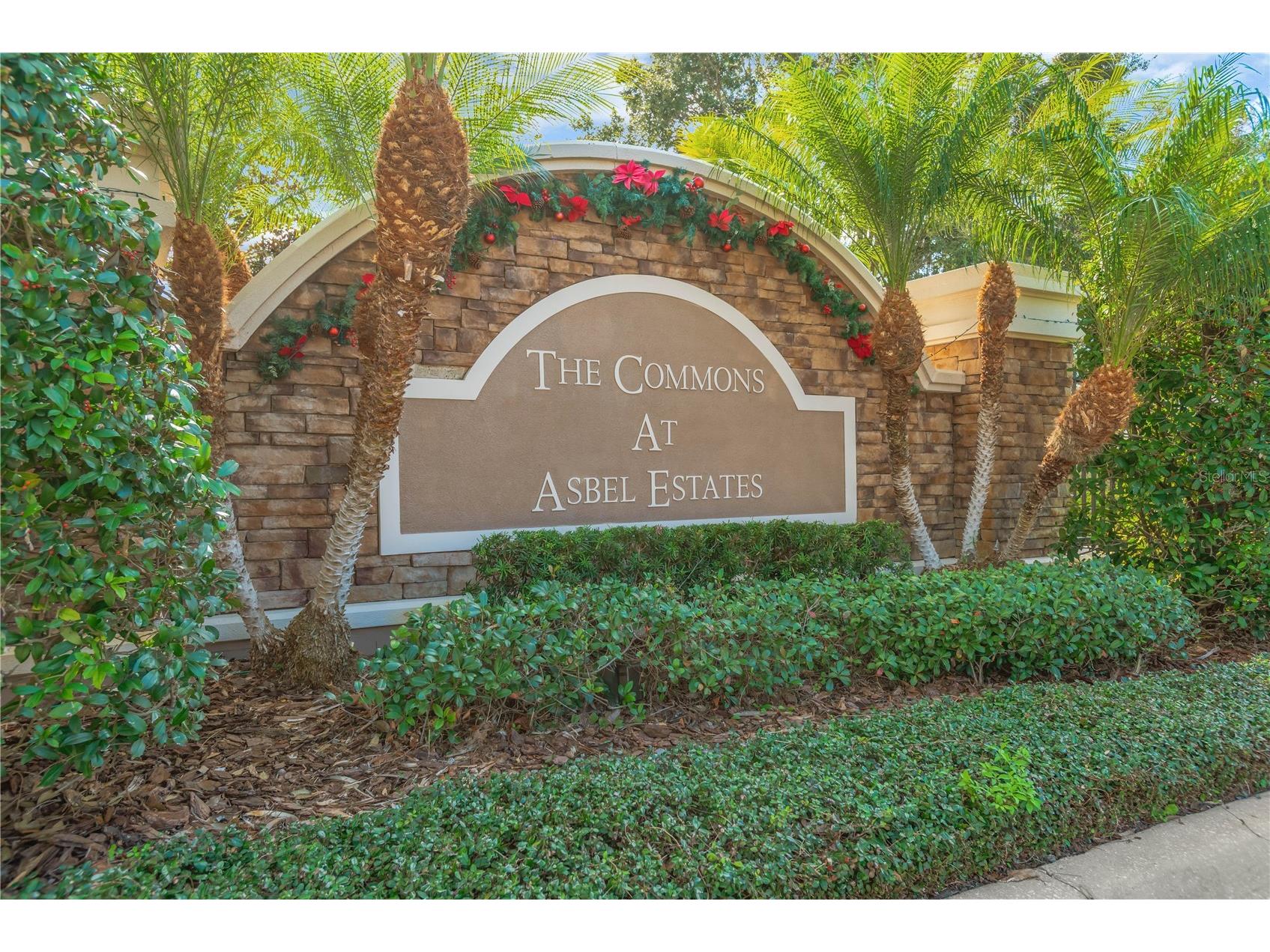 18345 Fish Loop Land O Lakes FL 34638 TB8460014 image34